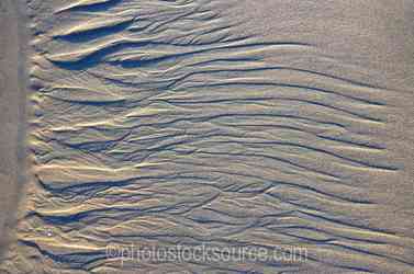 Nature Abstracts gallery