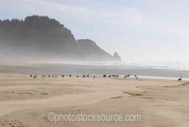 Oregon Coast & Beaches gallery