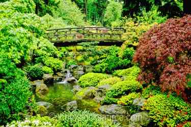 Oregon Gardens gallery