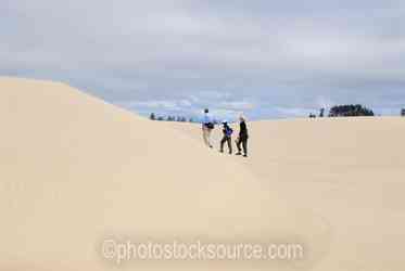 Oregon Sand Dunes gallery
