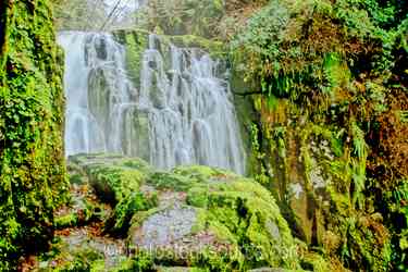 Oregon Coastal Waterfalls gallery