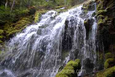 McKenzie River Waterfalls gallery