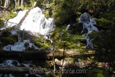 Umpqua River Waterfalls gallery