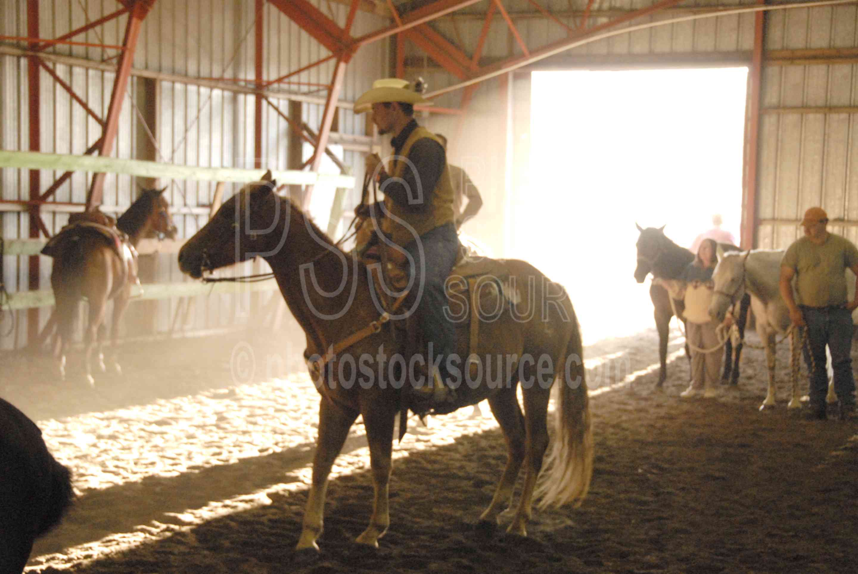 Cowboy on Horse,mules,horses,cowboys,auction,markets