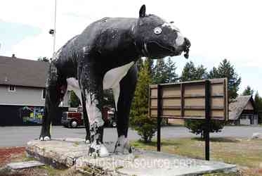 Roadside Attractions gallery