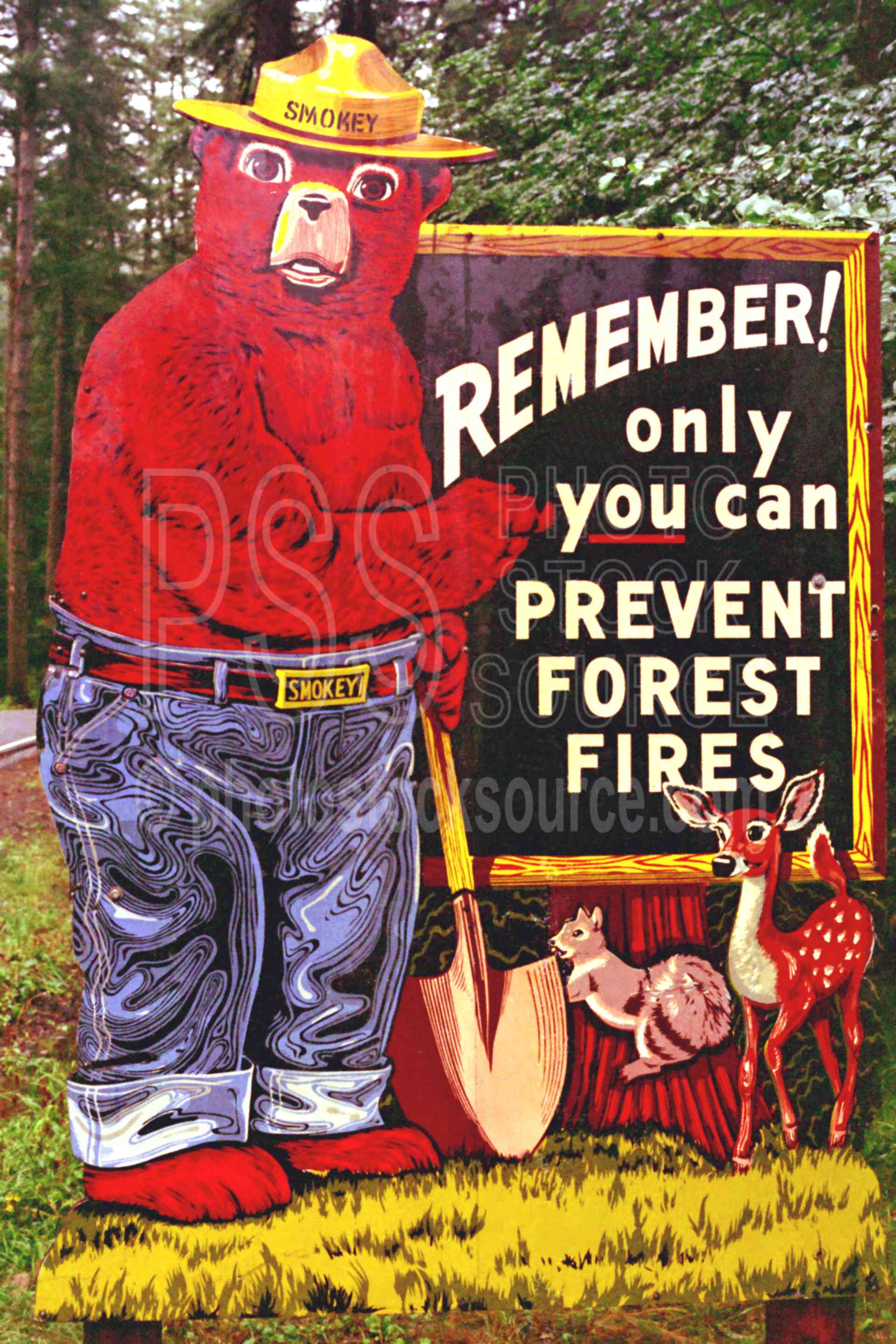 Smokey the Bear,forest fire,prevent forest fires,sign,usas