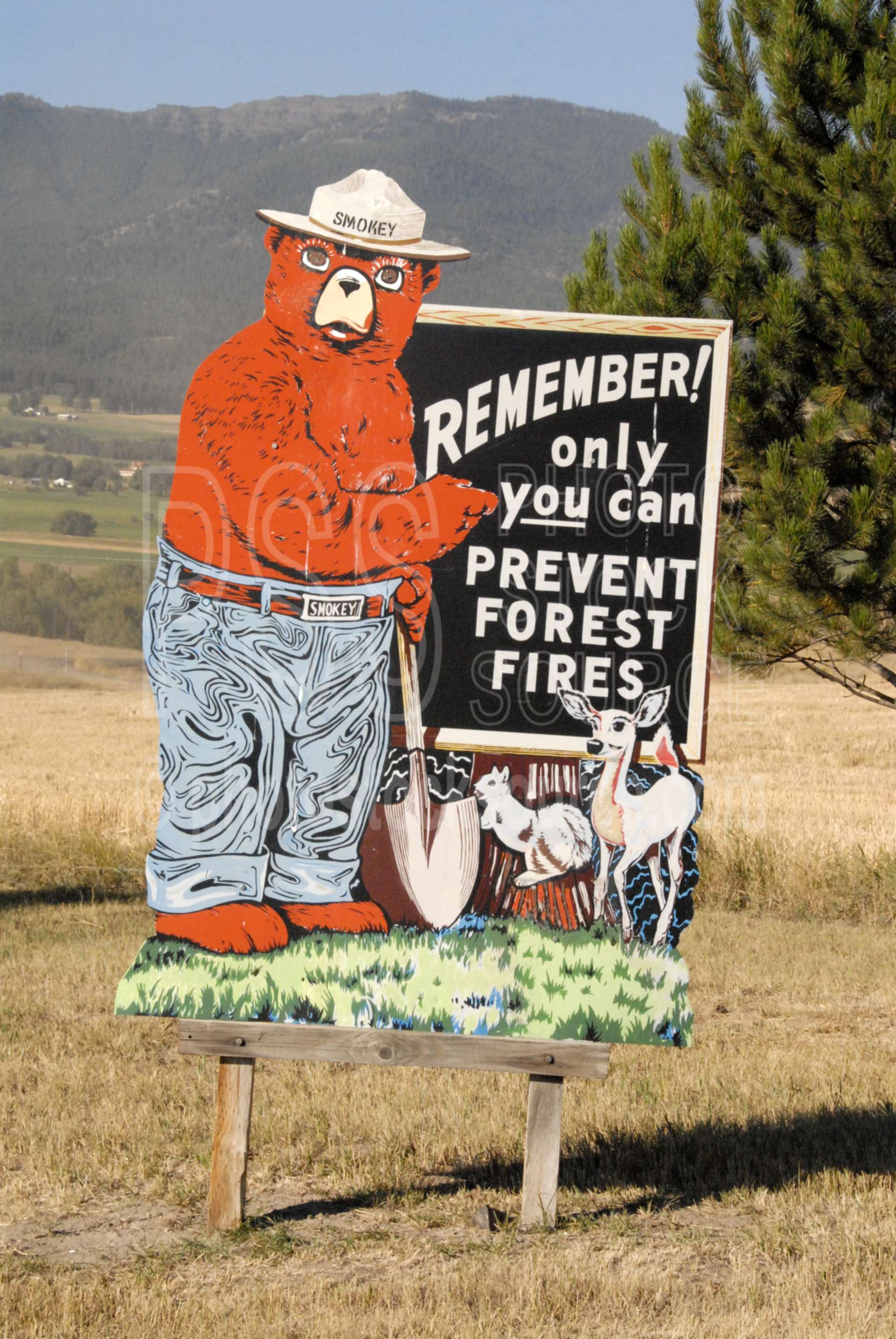 Smokey Bear Sign,antique,forest fires,fire,fire prevention