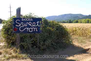 Roadside Attractions gallery