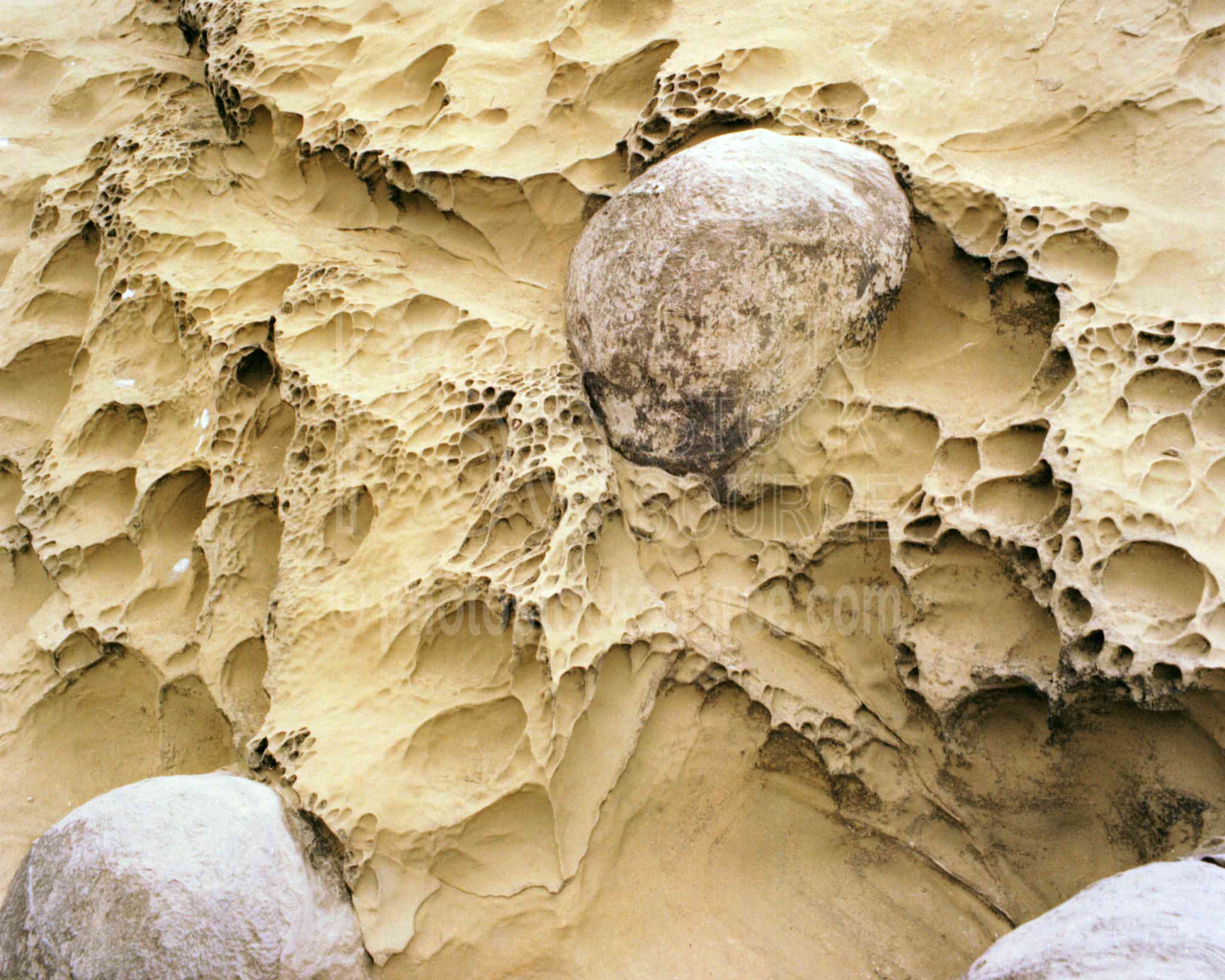 Sandstone,cape arago,stone,usas,seascapes,coast