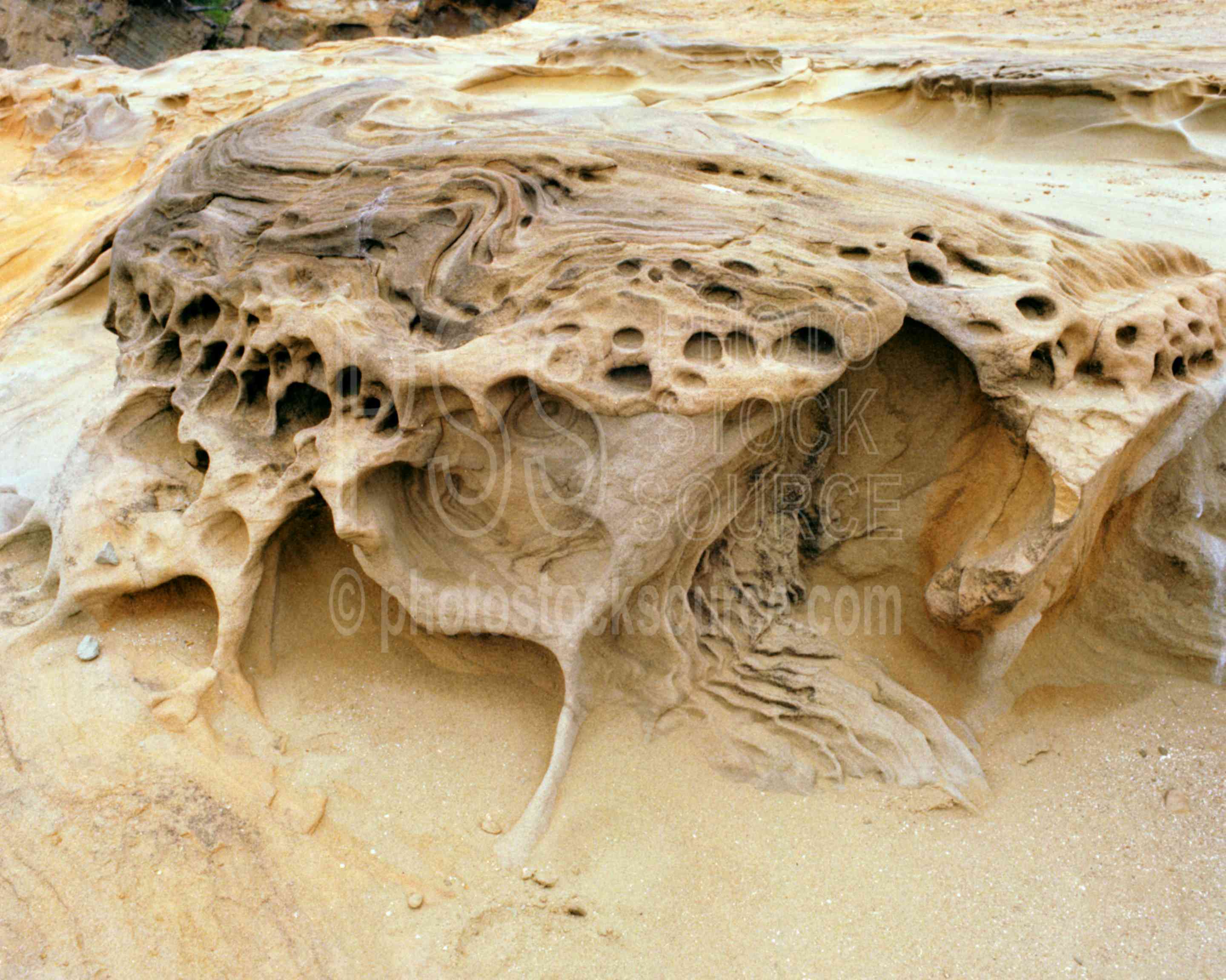 Sandstone,cape arago,stone,usas,seascapes,coast