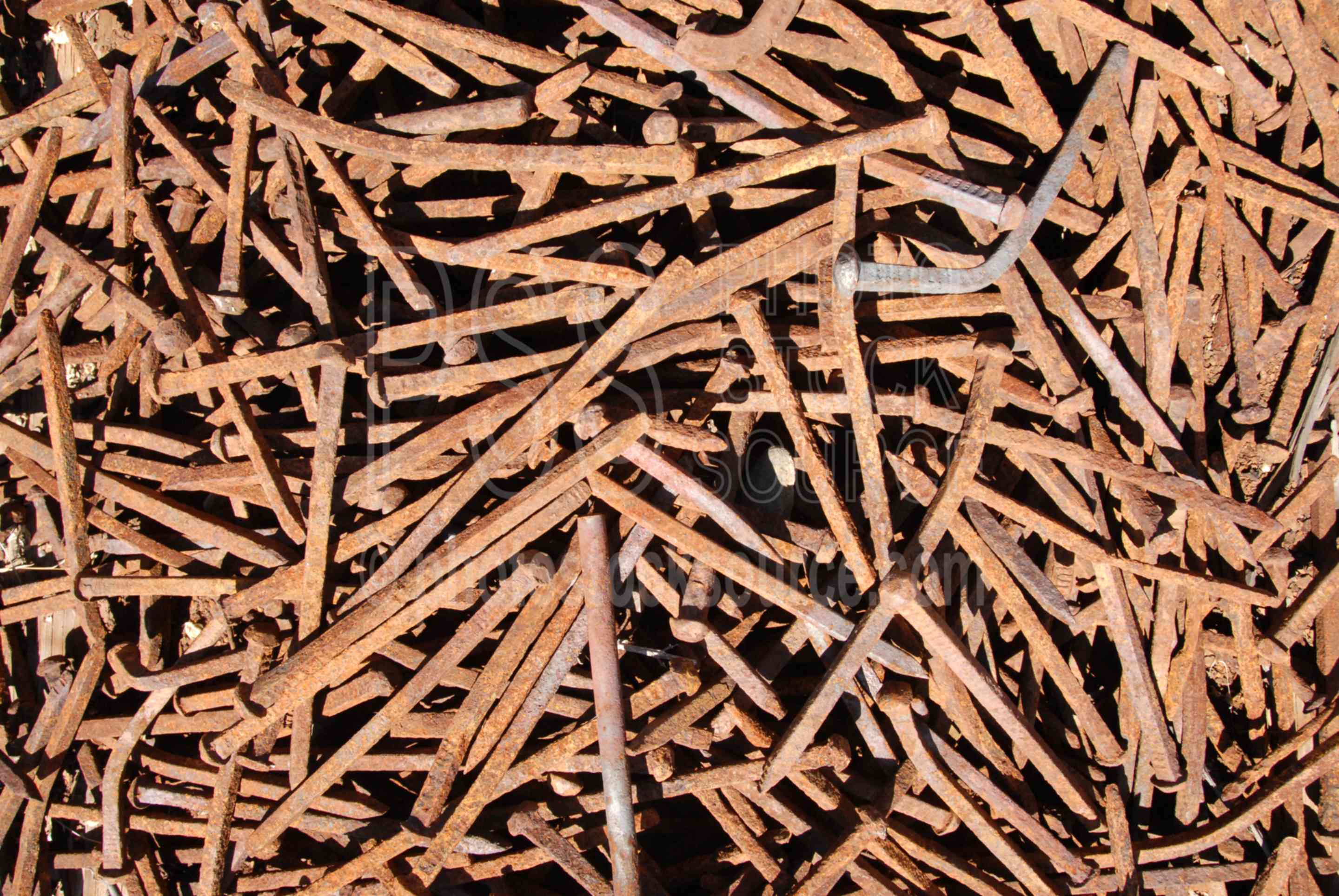 Rusty Nails,iron,metal,nails,rust