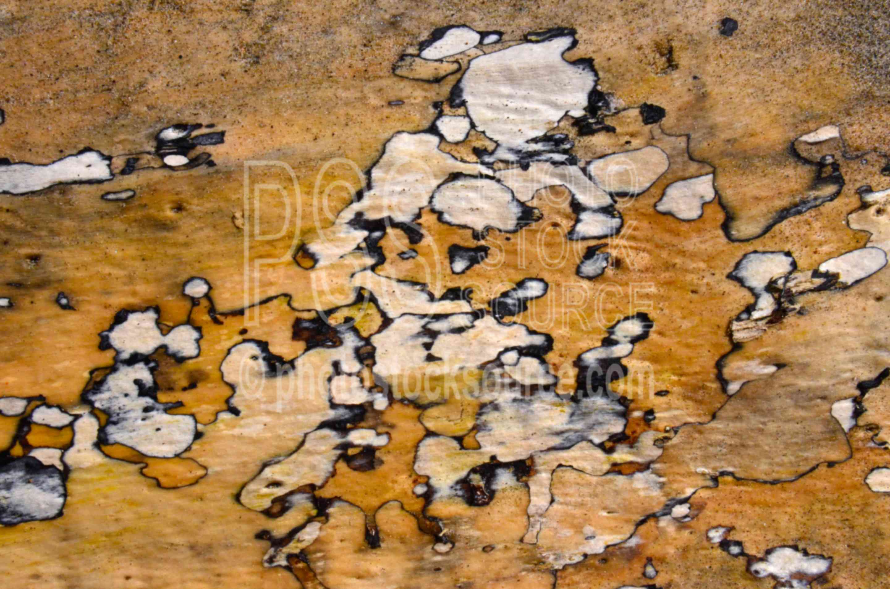 Abstract Wood Patterns,wood,colors,driftwood,pattern,abstract