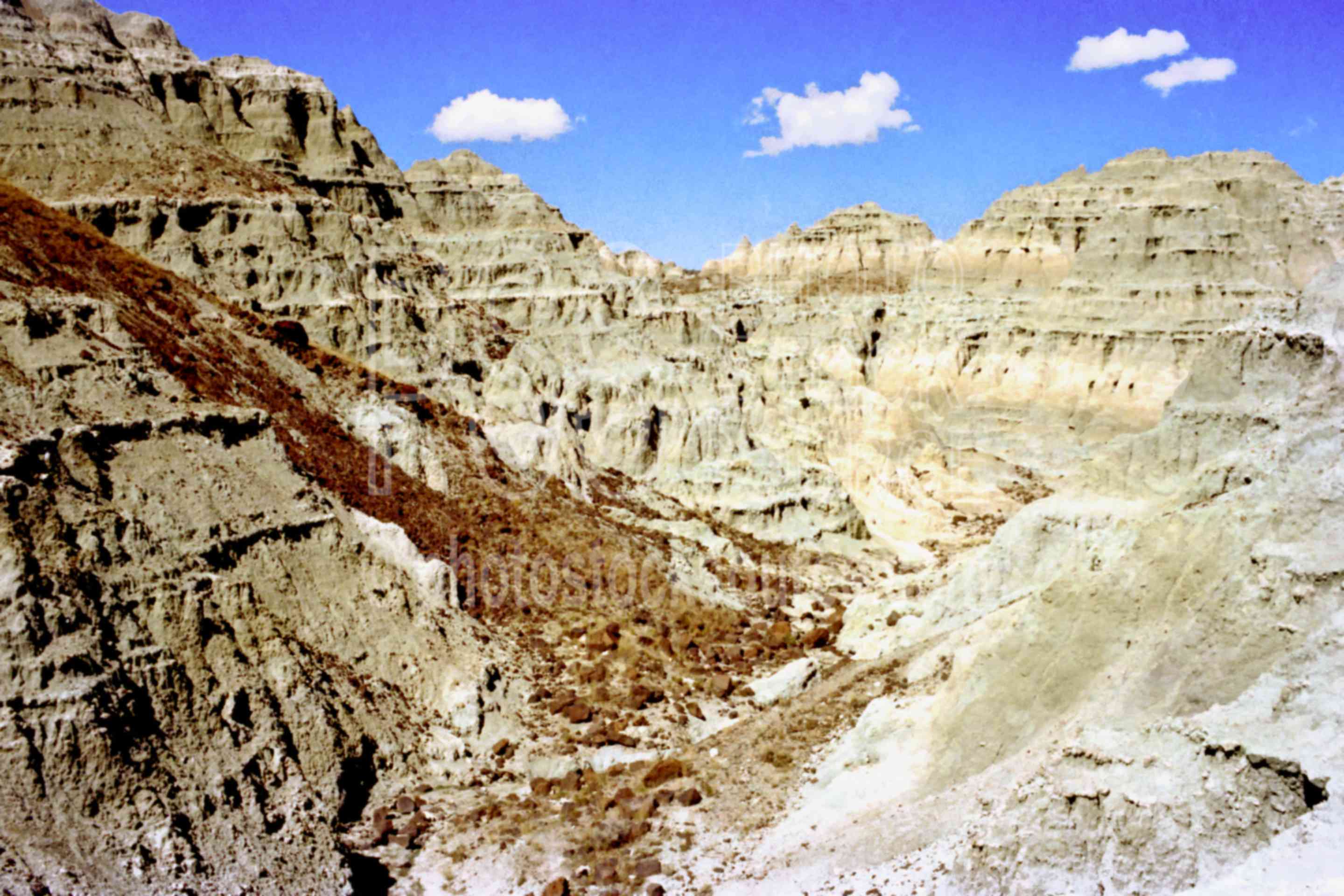 Blue Basin,fossil,fossil bed,thomas condon fossil bed,turtle cover,usas