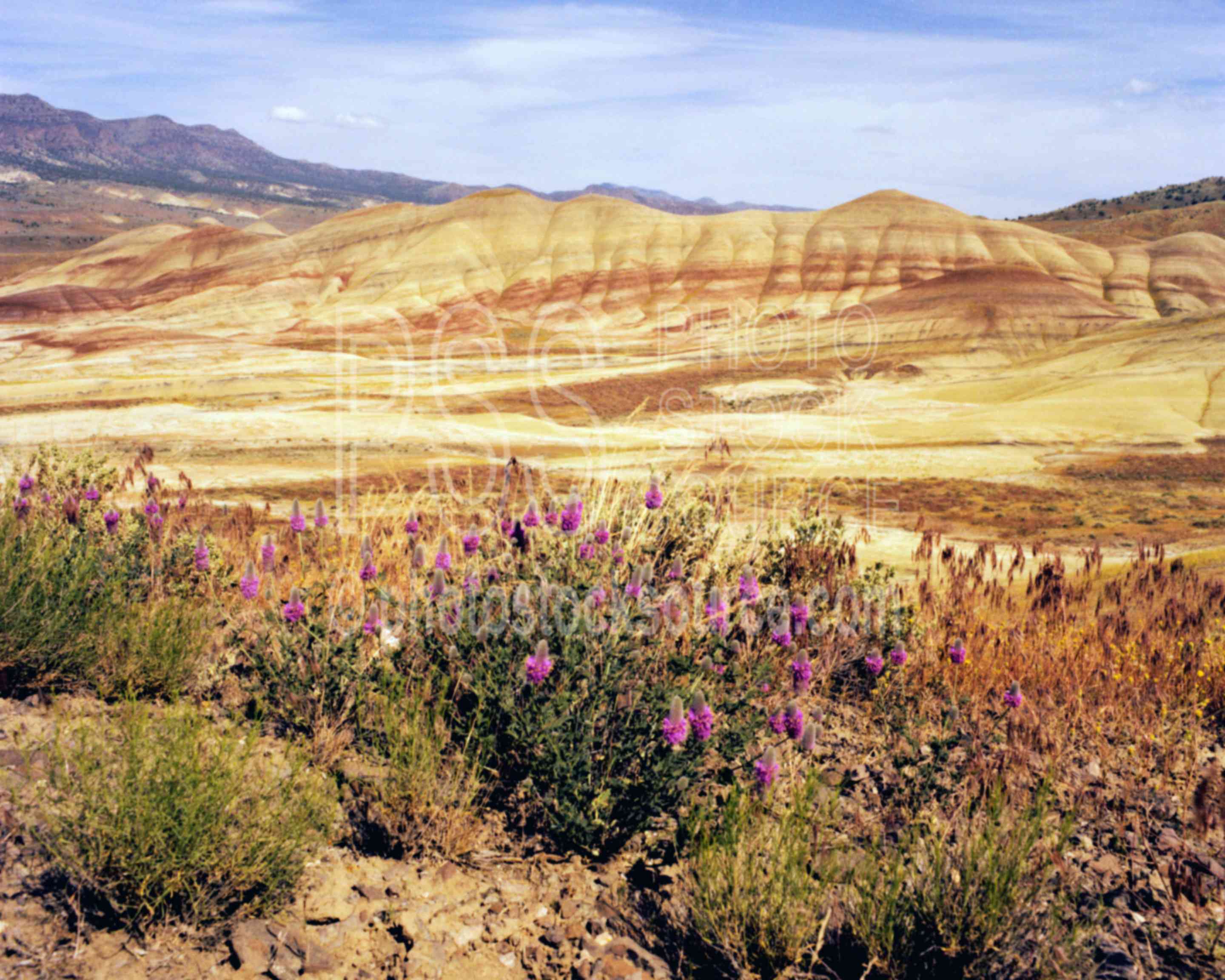 Painted Hills,usas