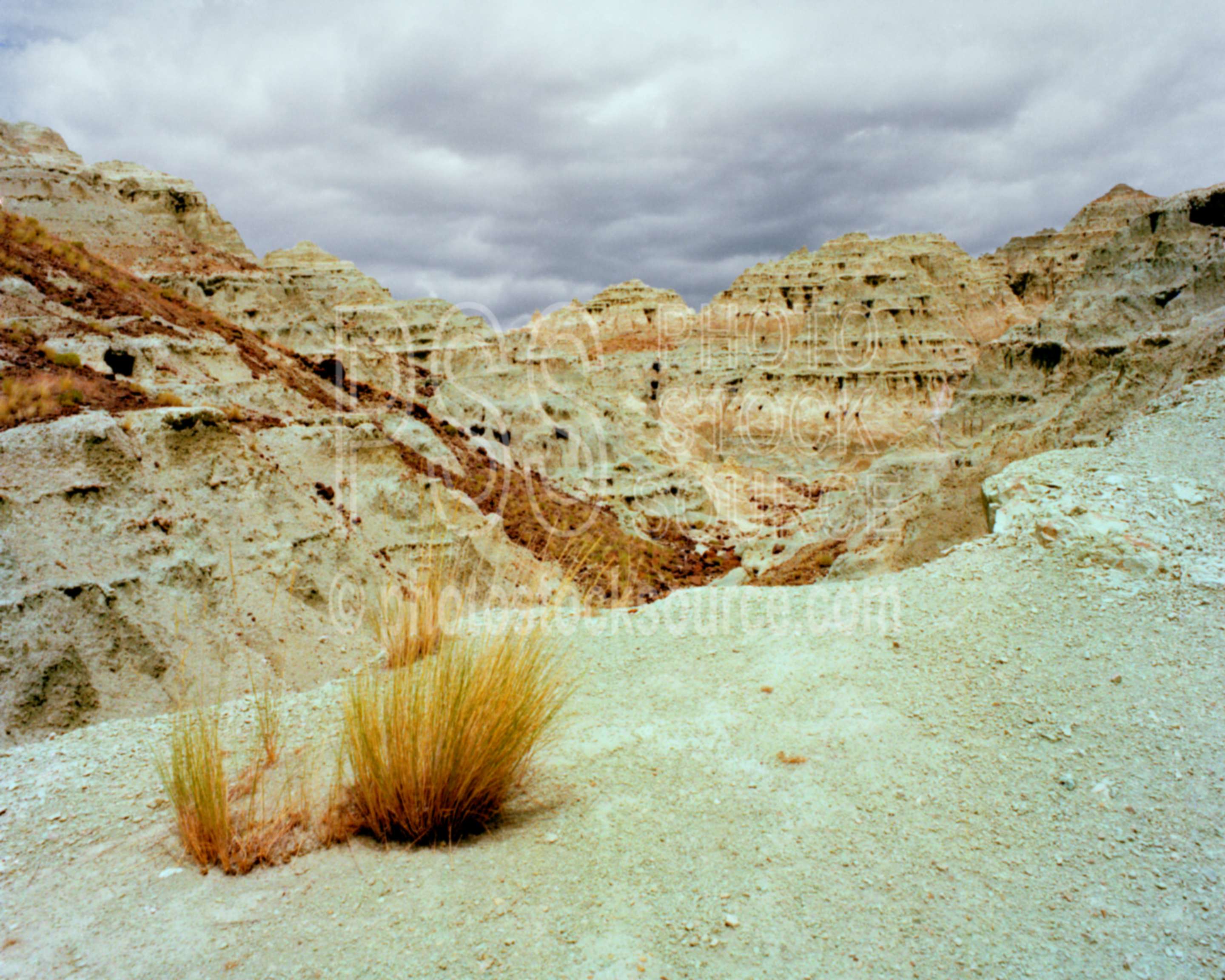 Blue Basin,fossil,fossil bed,john day,usas