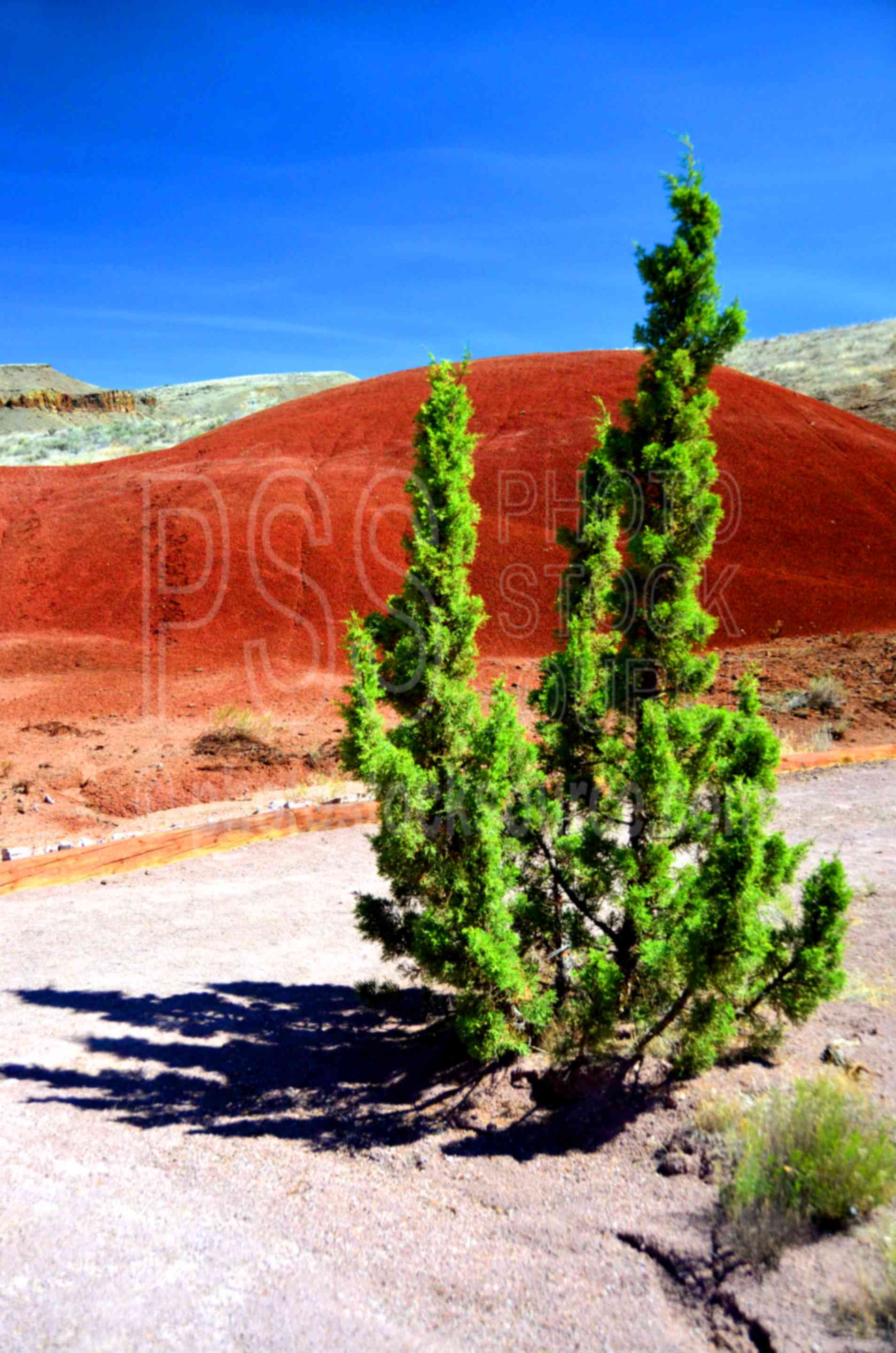 Painted Cove Trail ,painted,hills,colors,landforms,red hill
