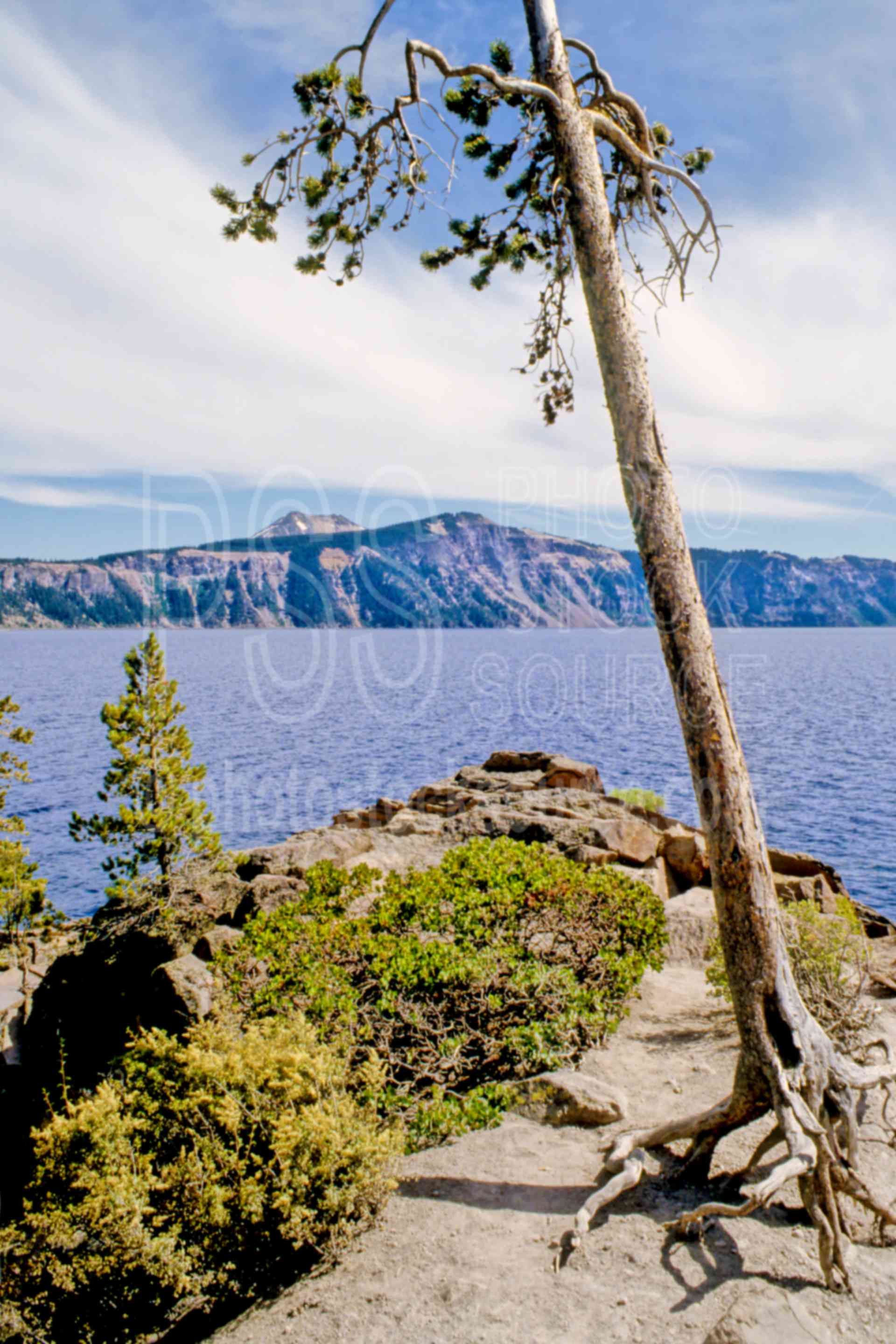 Crater Lake,caldera,usas,lakes rivers,national park,nature