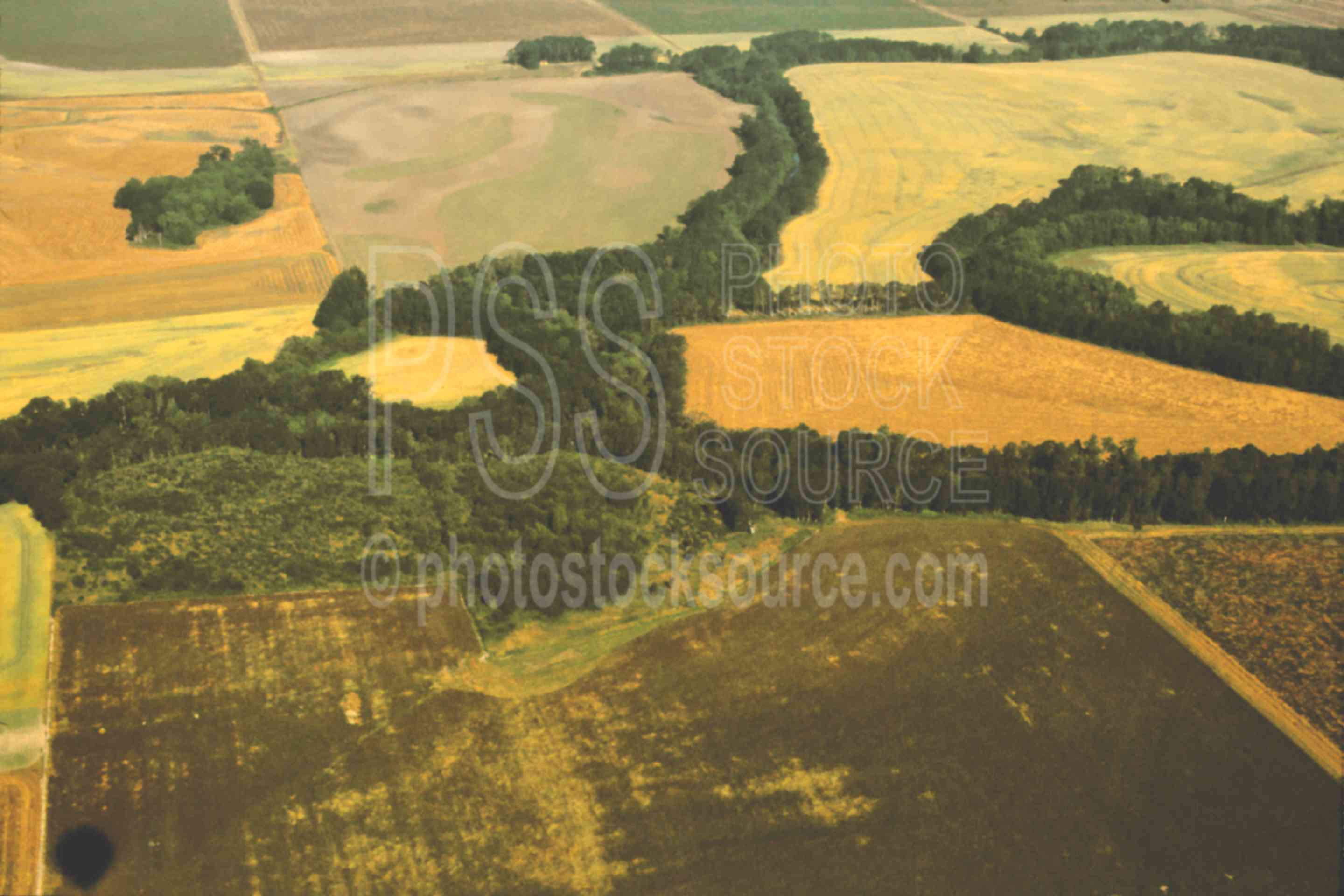 Flying over Halsey,flight,hot air balloon,aeronautics,aerial,shadow,usas,aerials