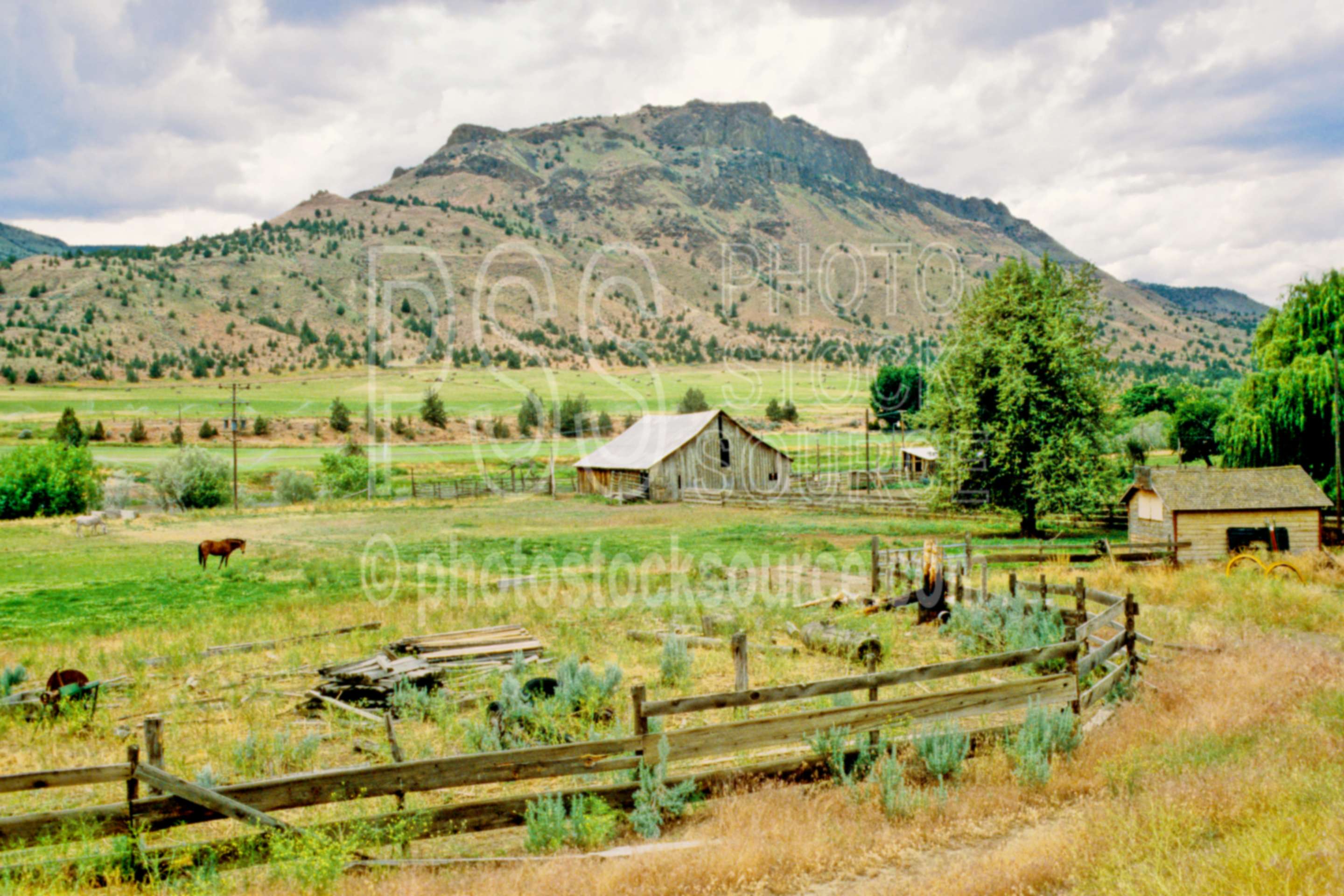 Horse and Barn,barn,horse,usas,barns