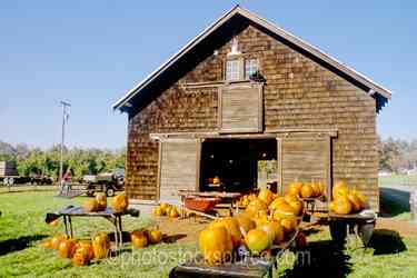 Holidays gallery