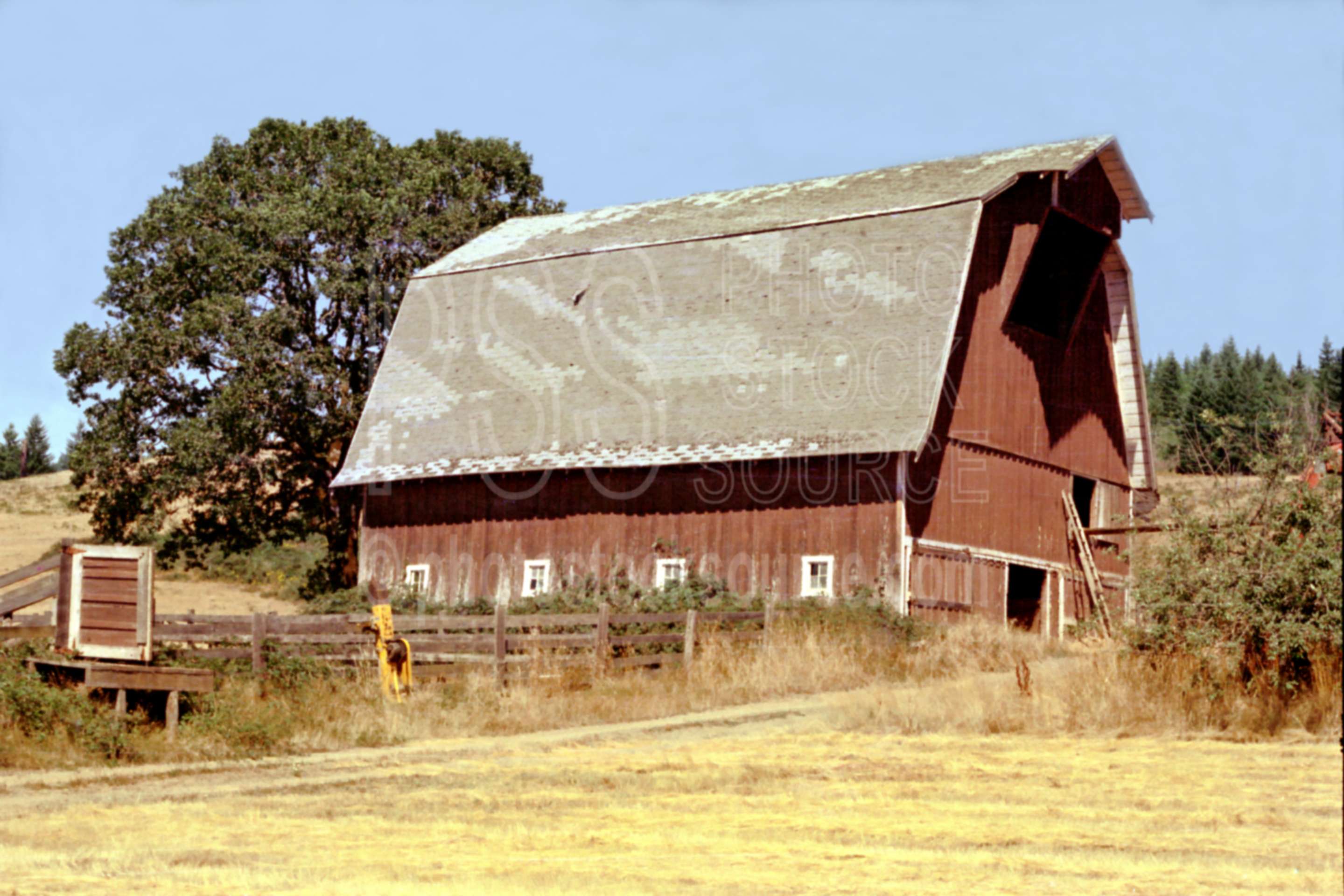 Century Farm,barn,oaks,tree,usas,barns