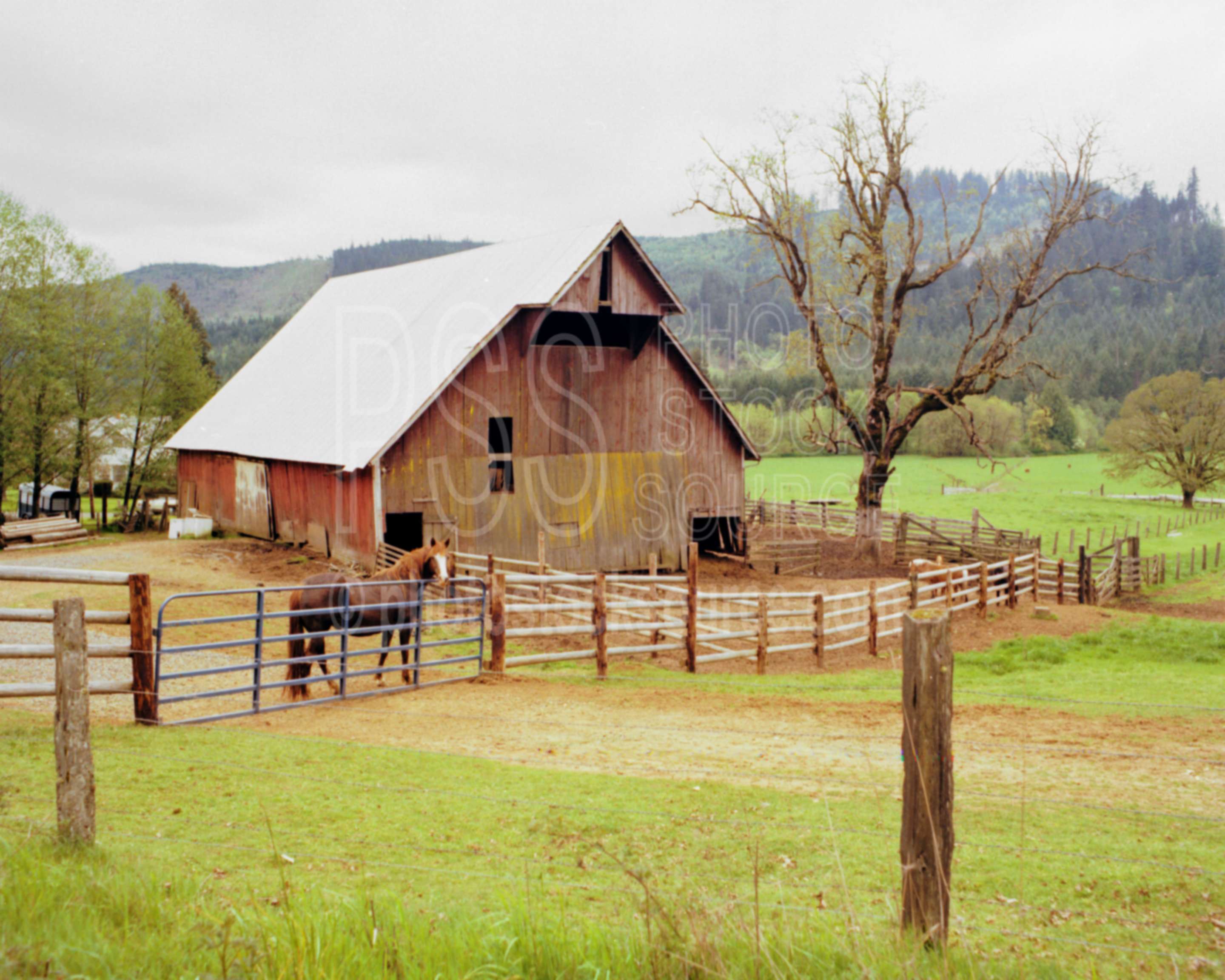 Horse and Barn,barn,building,fence,horse,oaks,tree,usas,barns