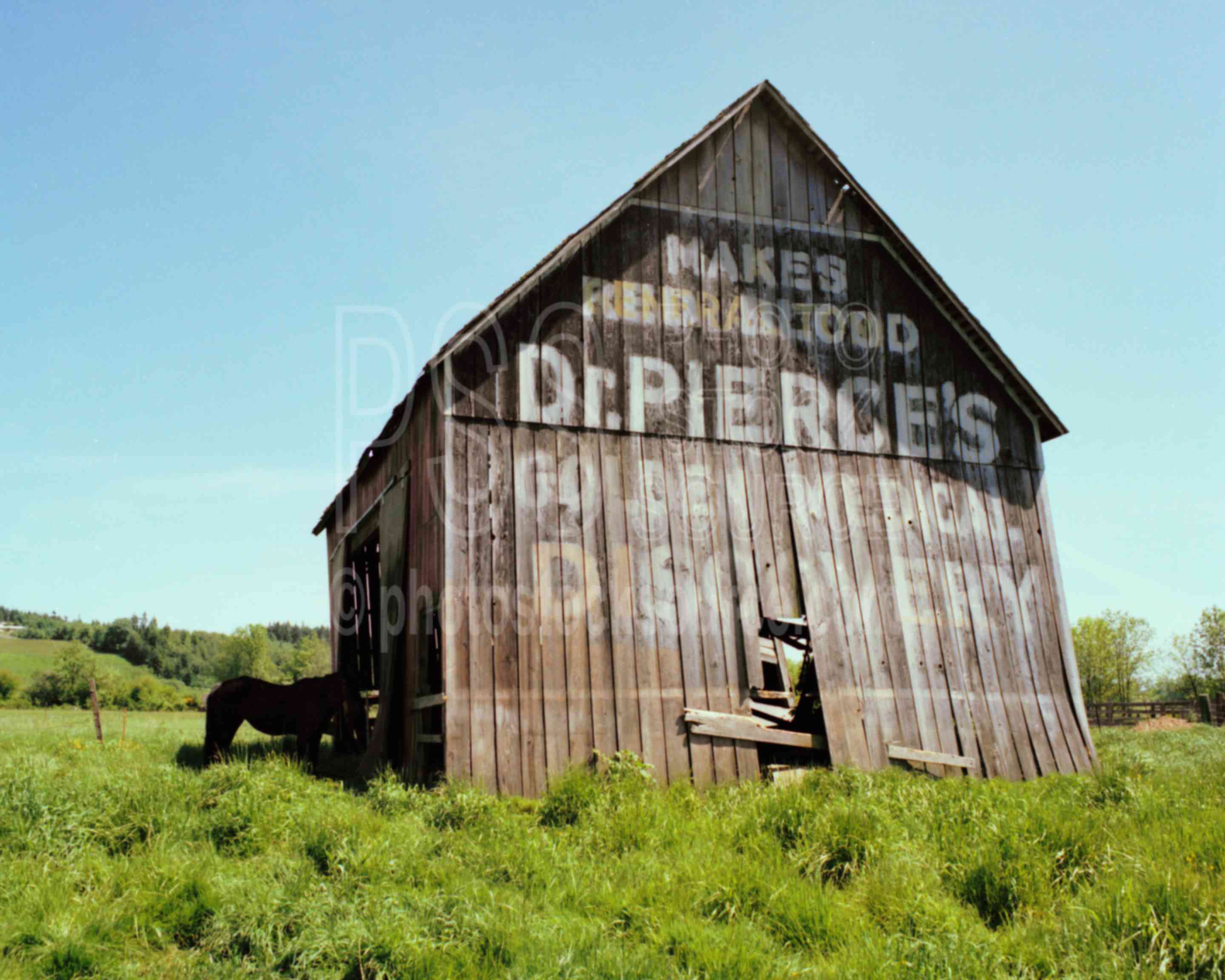 Dr. Pierce Barn,barn,barn sign,building,dr. pierce,horse,usas,barns