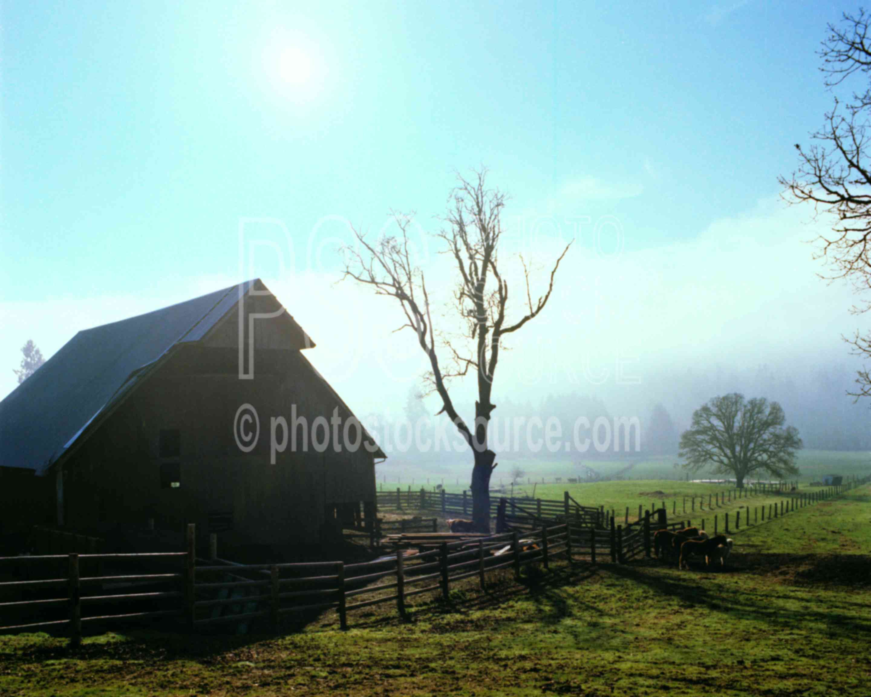 Barn at Sunrise,barn,sunrise,usas,barns