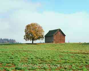 Oregon Barns gallery