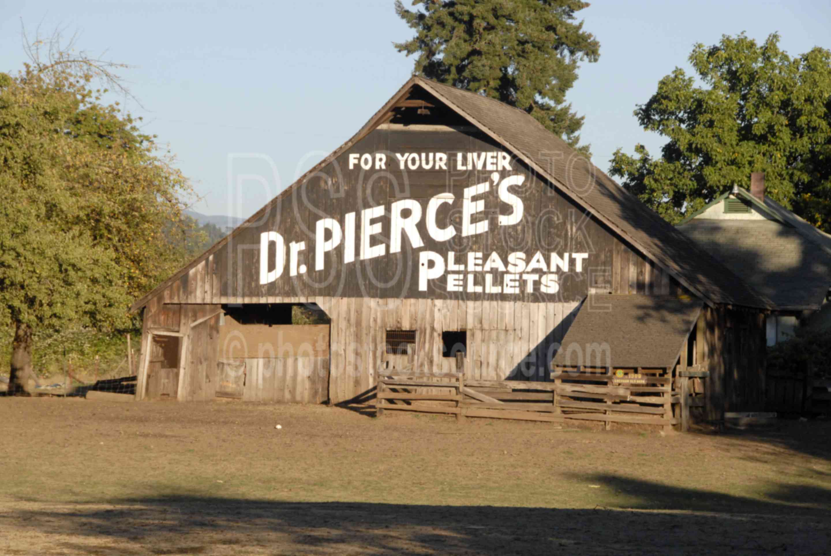 Dr. Pierce Barn Sign,barn,rural,barn sign,dr. pierce,pleasant pellets,sign,barn painting,history,historical,americana,nostalgia,signs symbols flags,barns