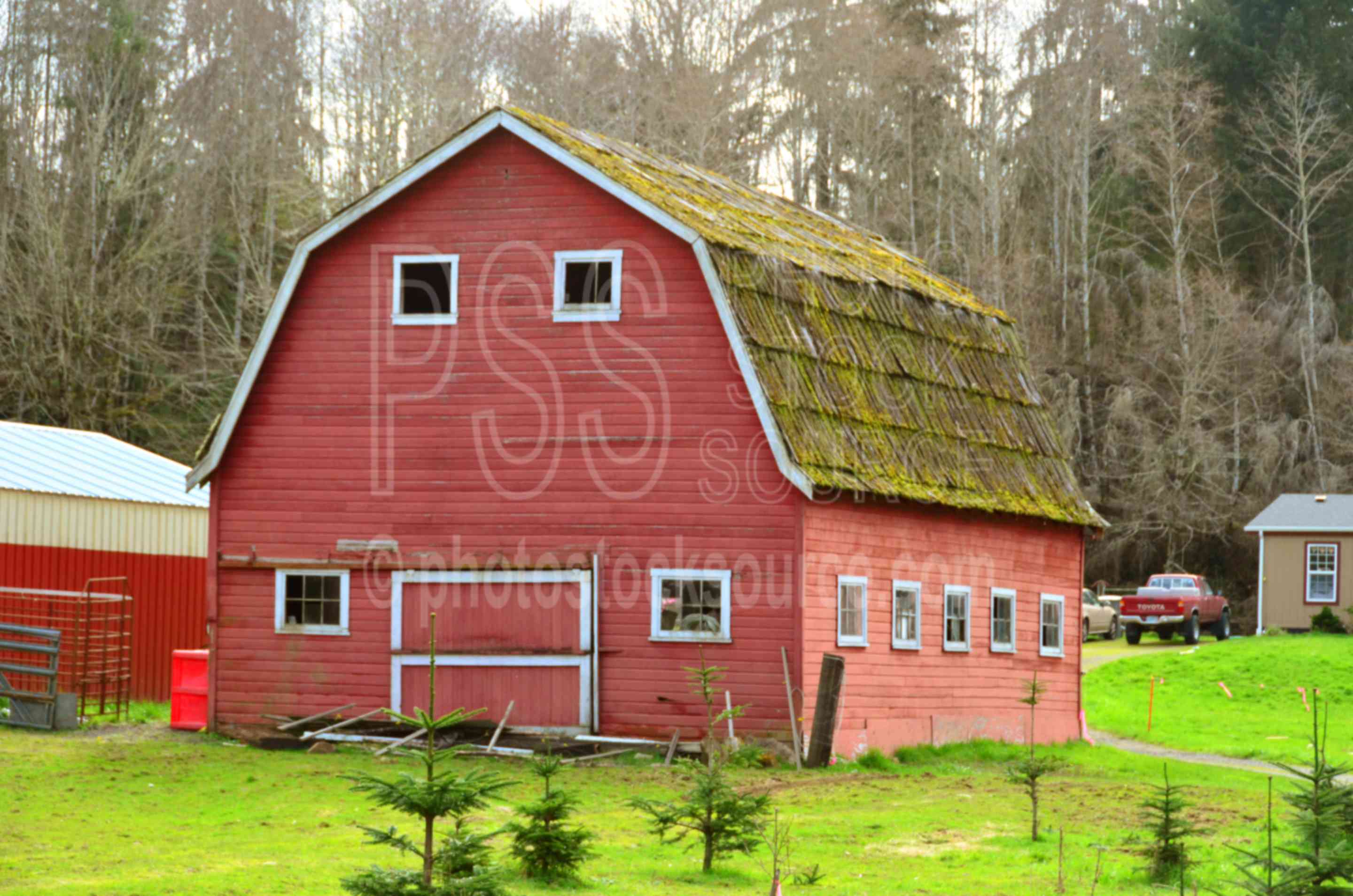 Mossy Red Barn,barn,rural,farm,red,moss,moss covered