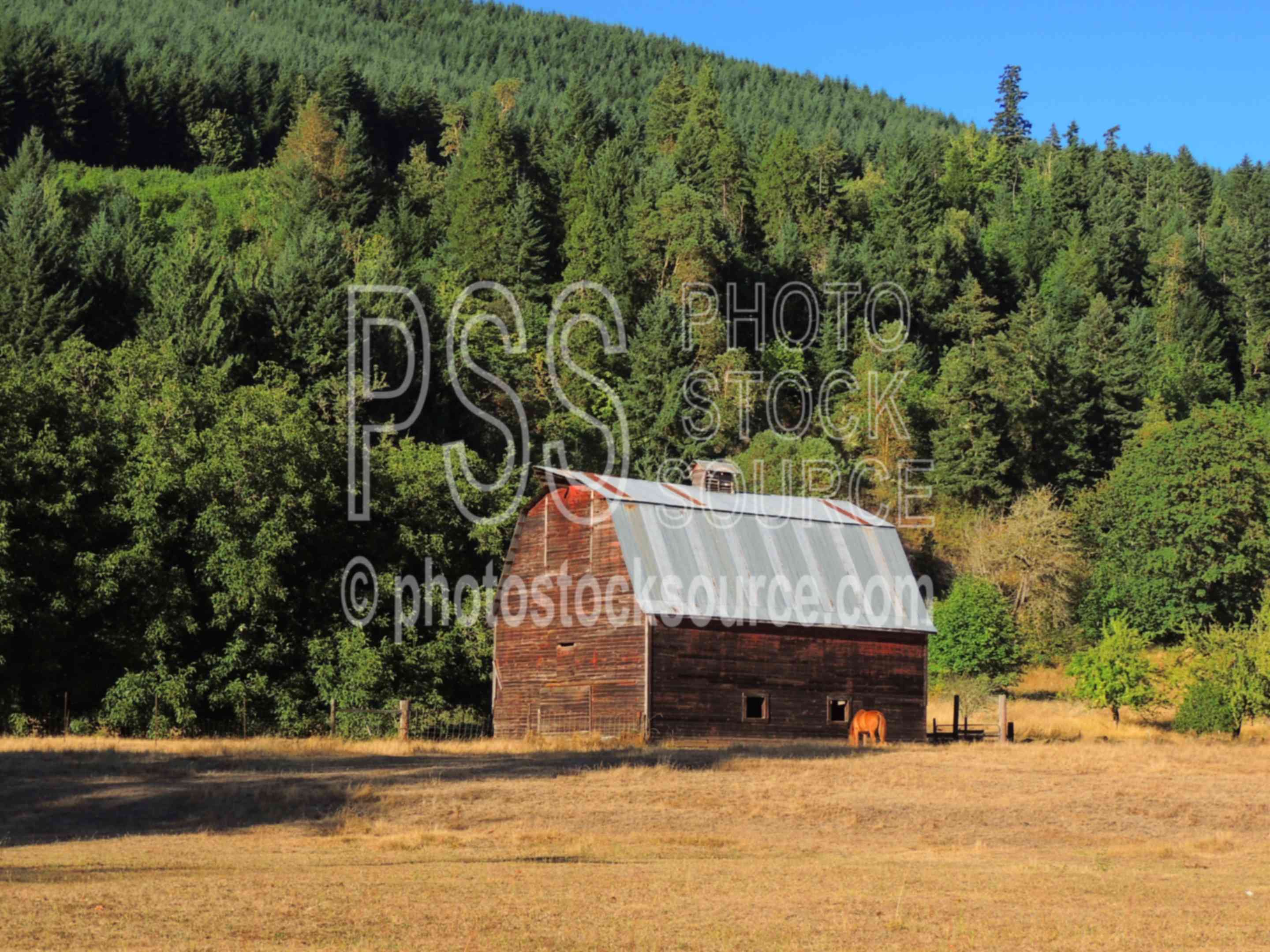 Wooden Barn and Horse,barn,farm,ranch,horse,trees