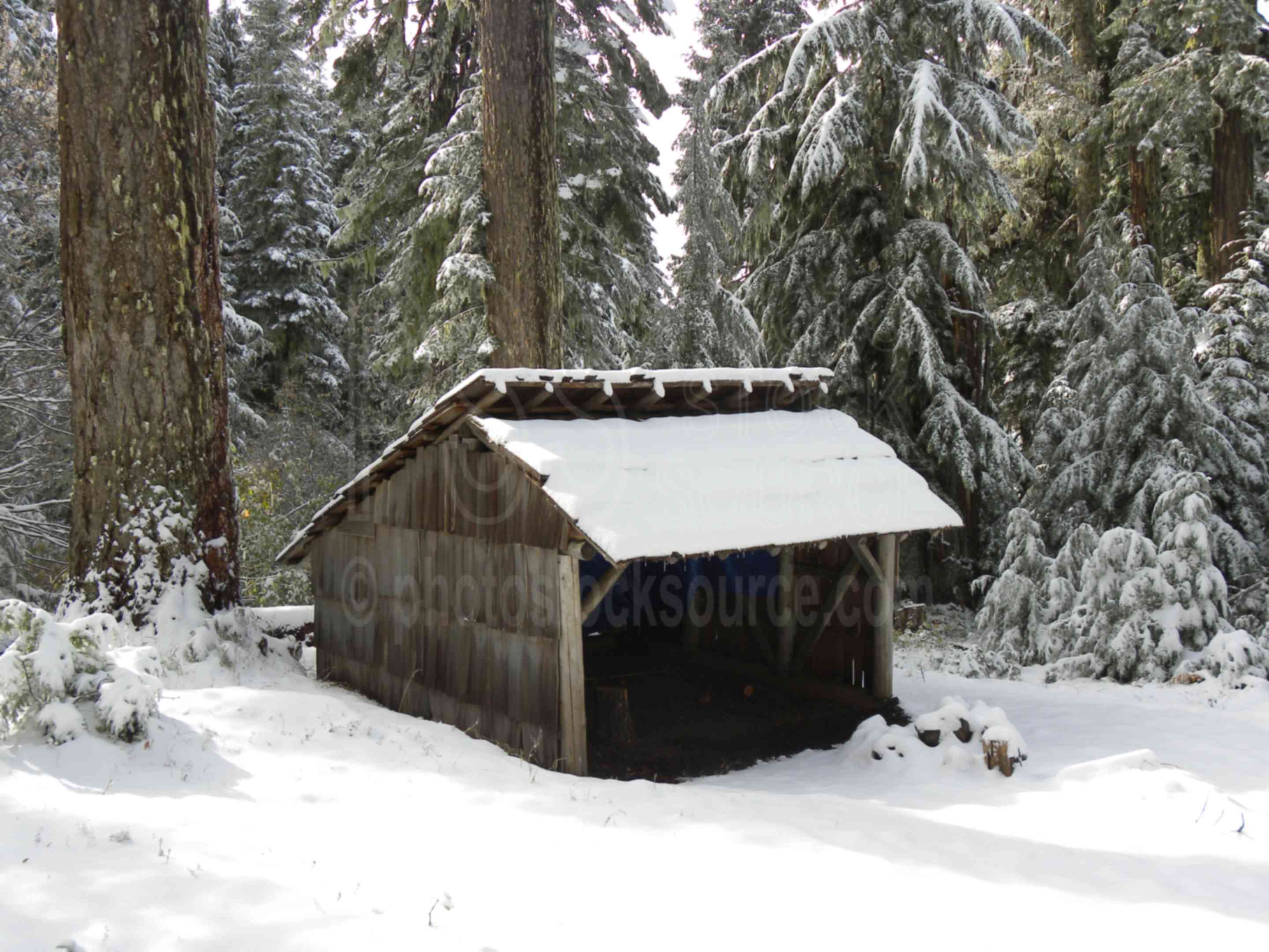 Little Blanket Shelter,cabin,building,forest,trees,snow,snowy,shelter