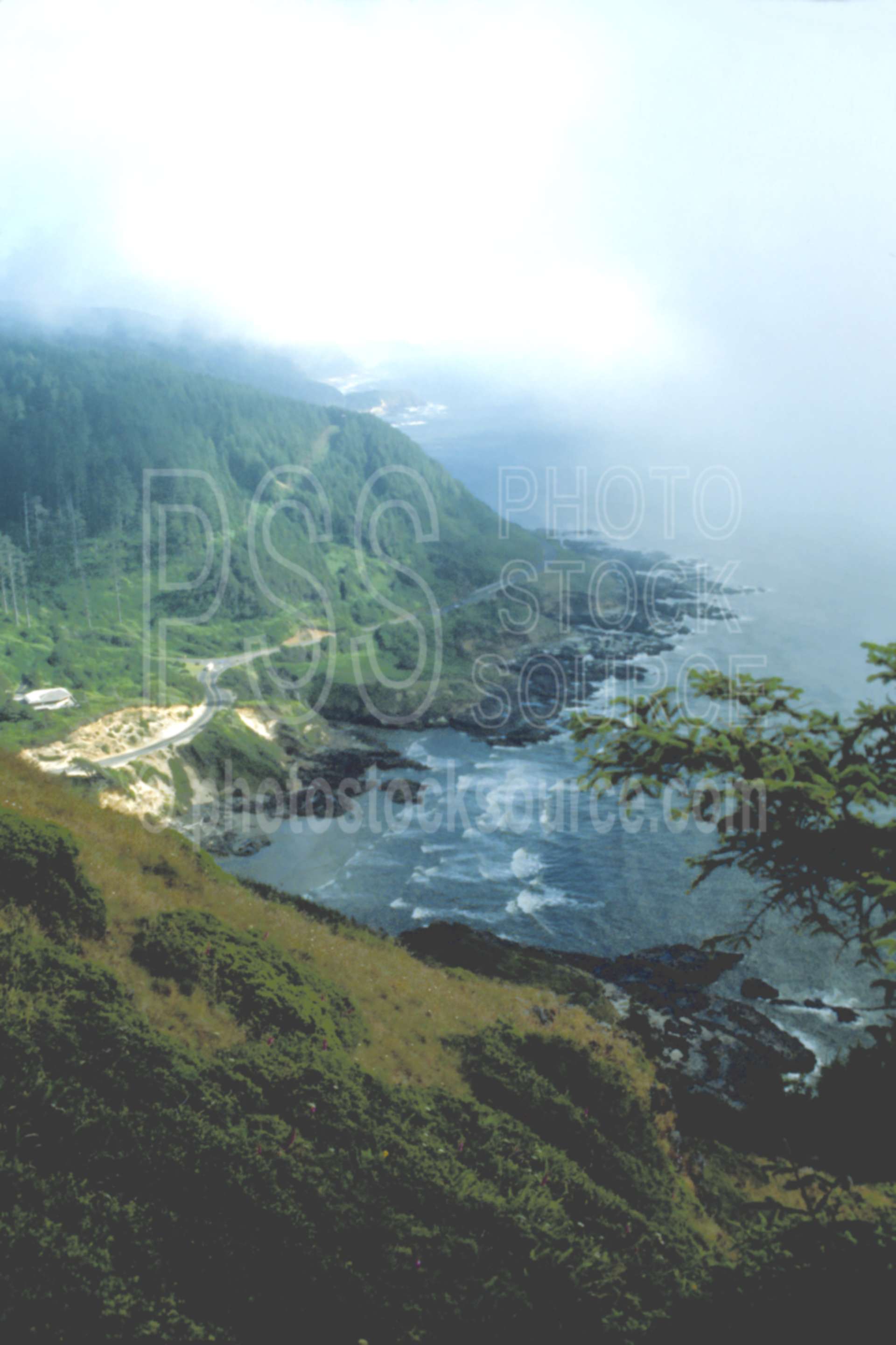 From Cape Perpetua,cloud,coastline,fogs,usas,nature