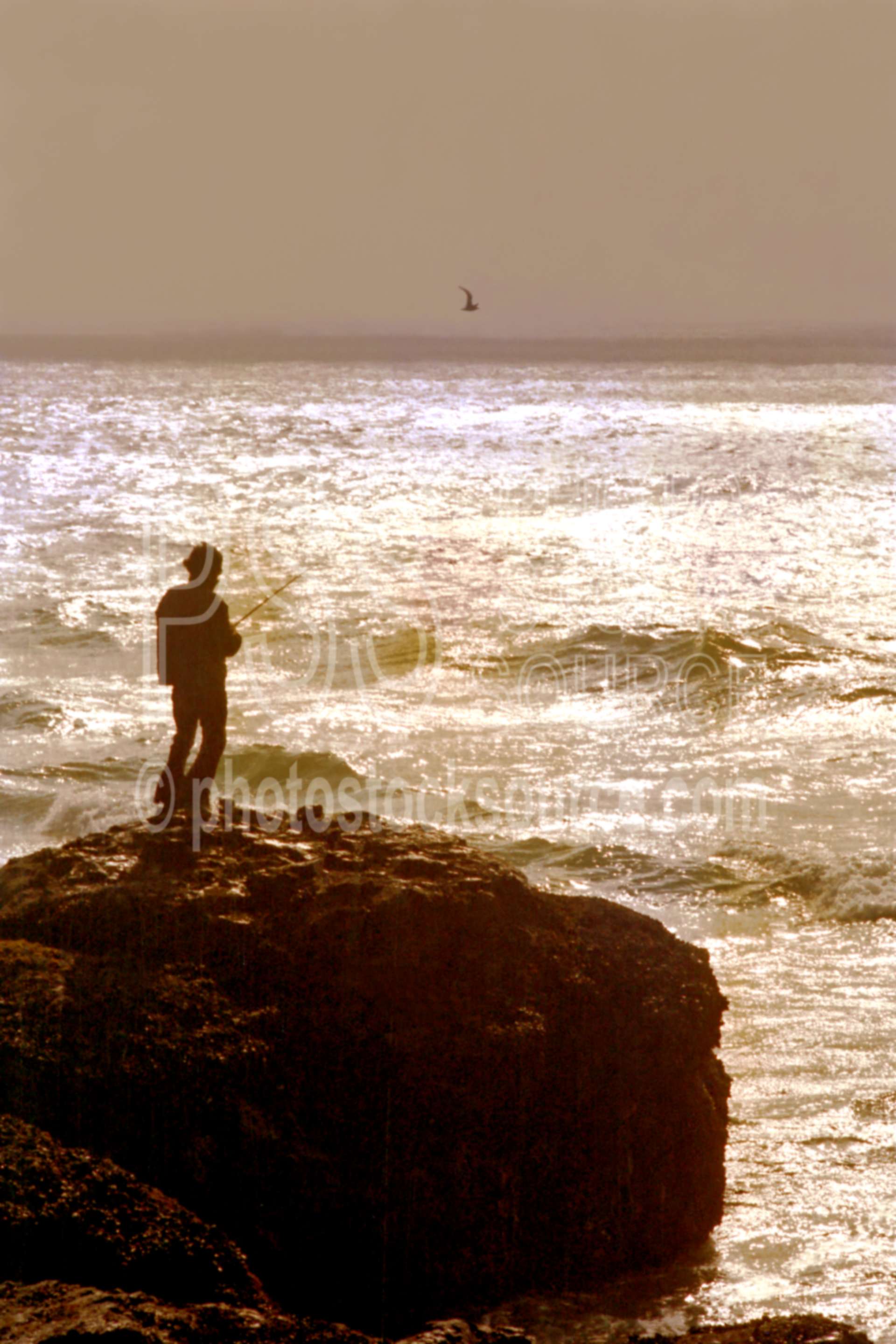 Fisherman,fishing,ocean,surf fishing,usas,seascapes,nature