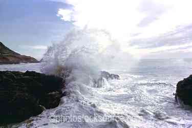 Oregon Coast & Beaches gallery