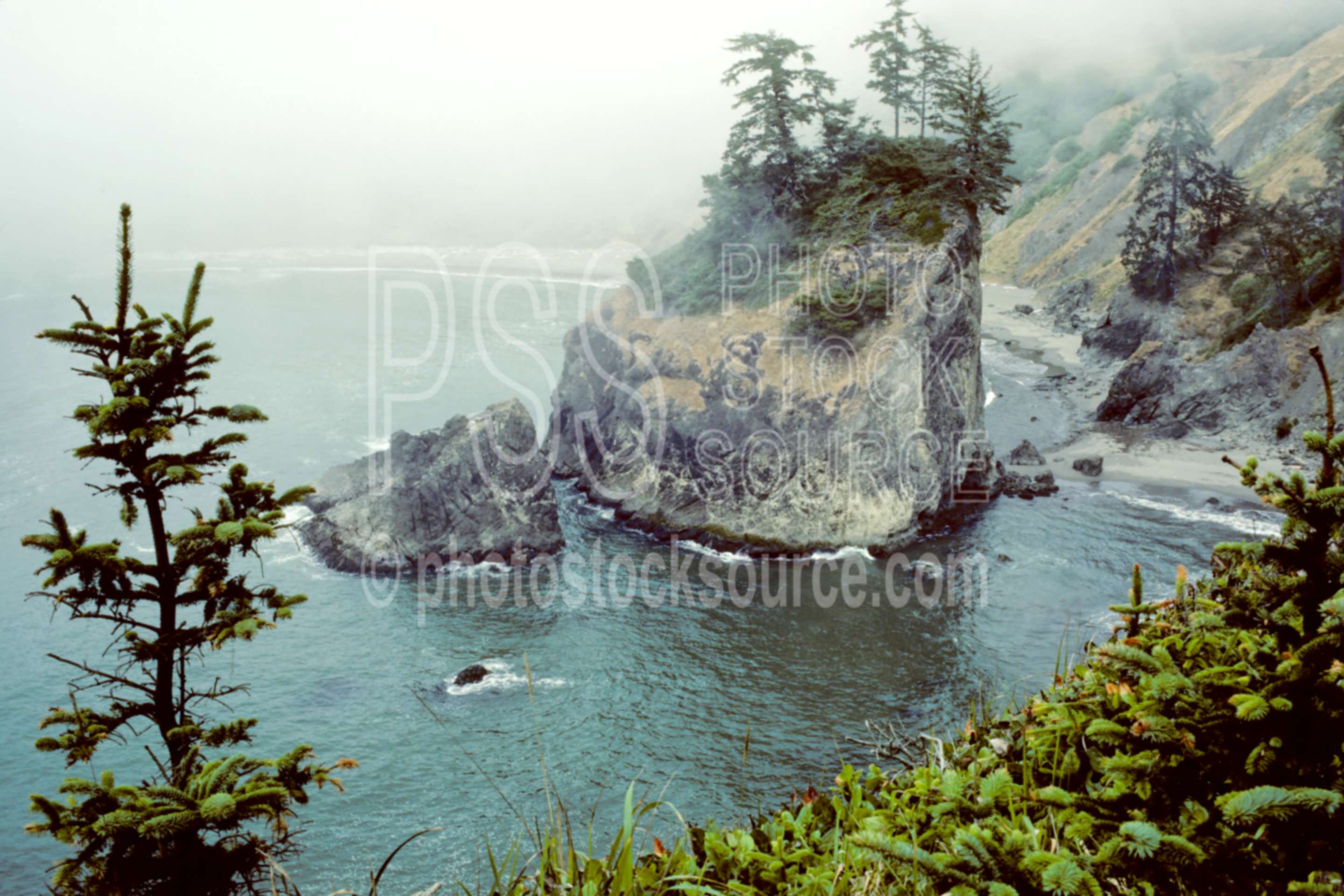 Sea Stack,boardman state park,usas,nature,seascapes,coast