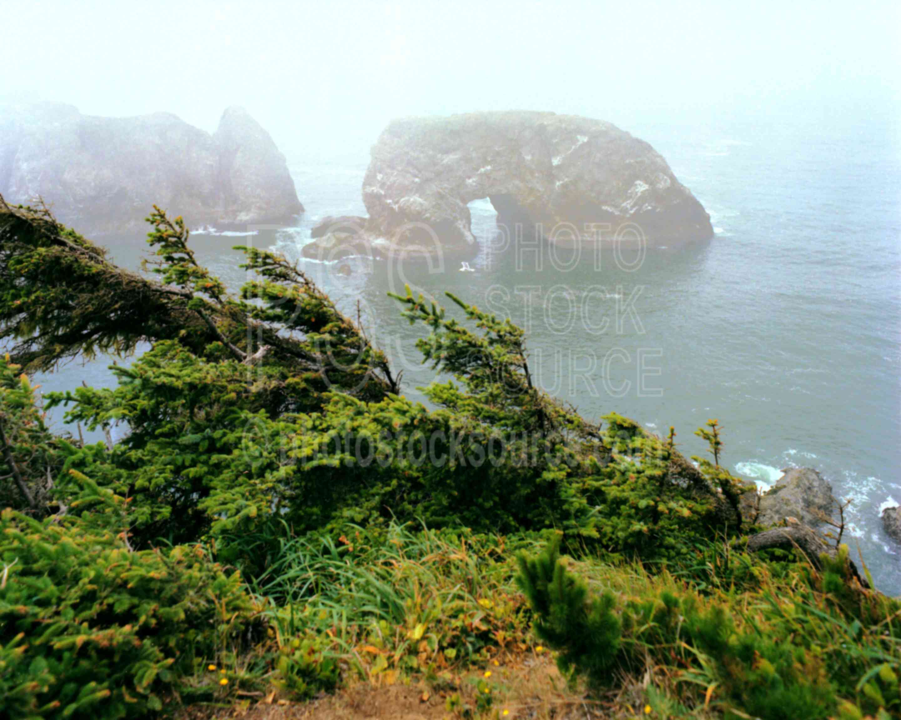 Arch Rock,boardman state park,sea stack,usas,nature,seascapes,coast