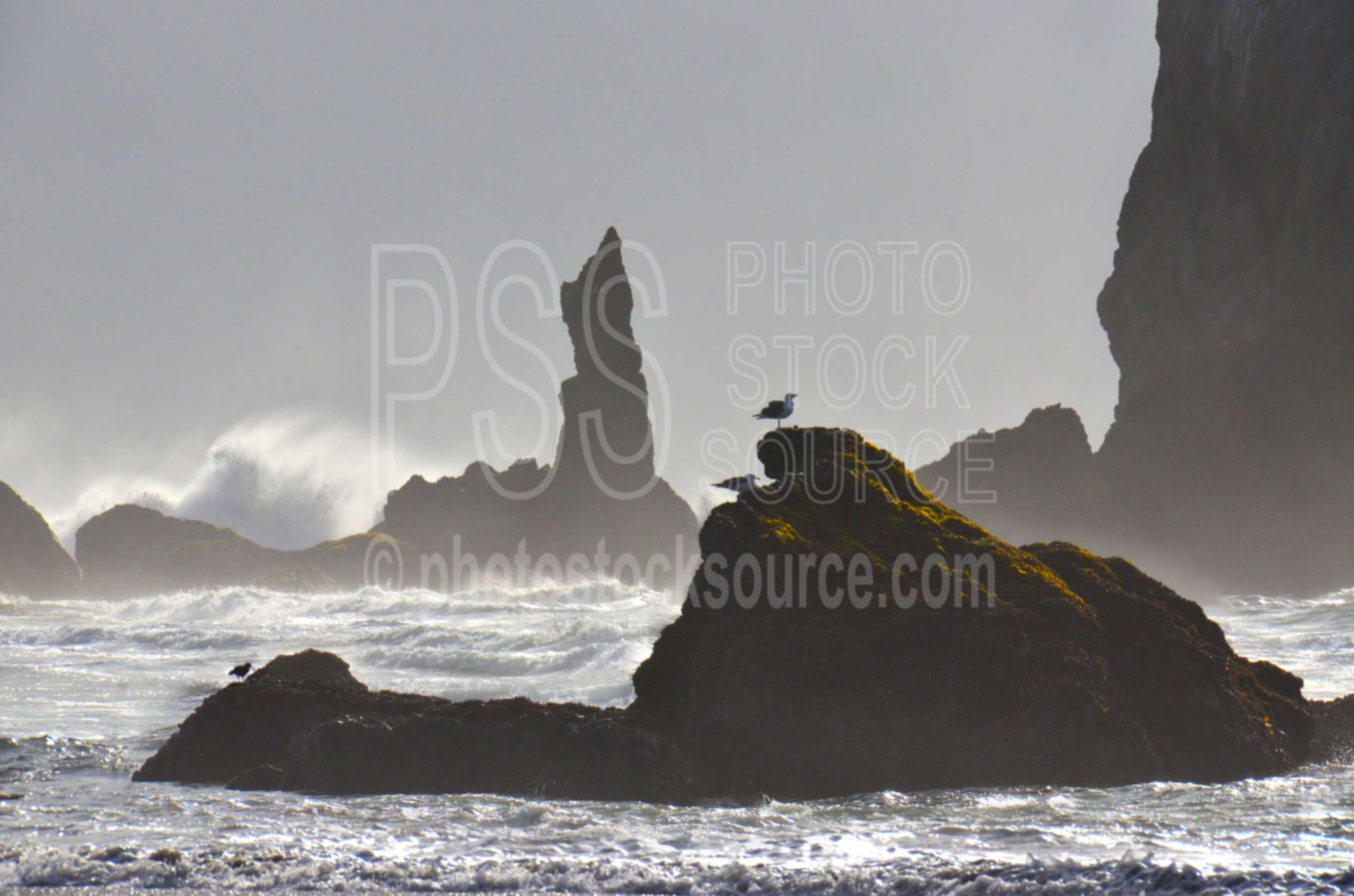 Wave Crashing on Sea Stacks,rock,beach,sand,sea stacks,wave