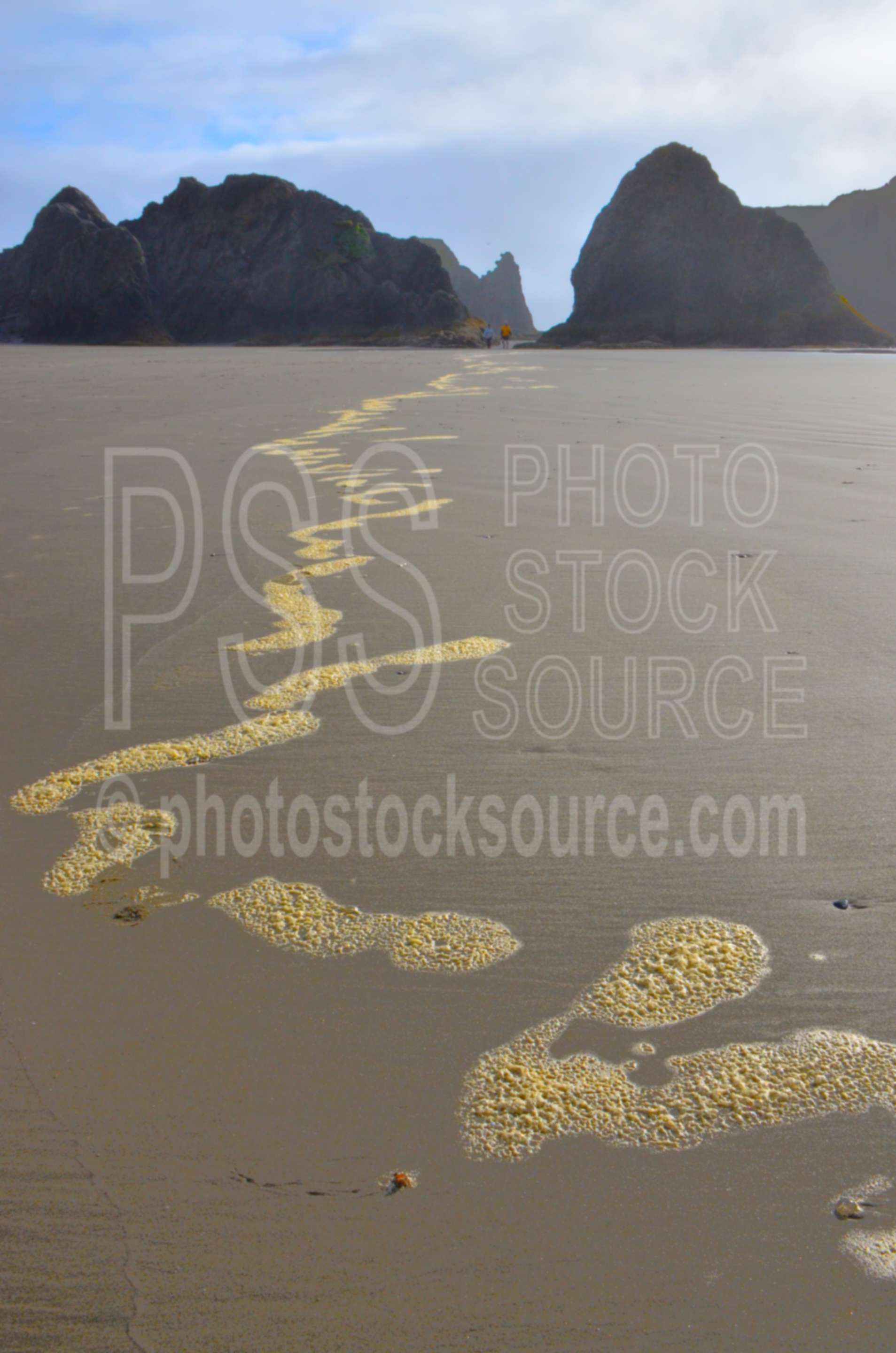 Sea Foam on Beach,rock,beach,sand,sea,foam