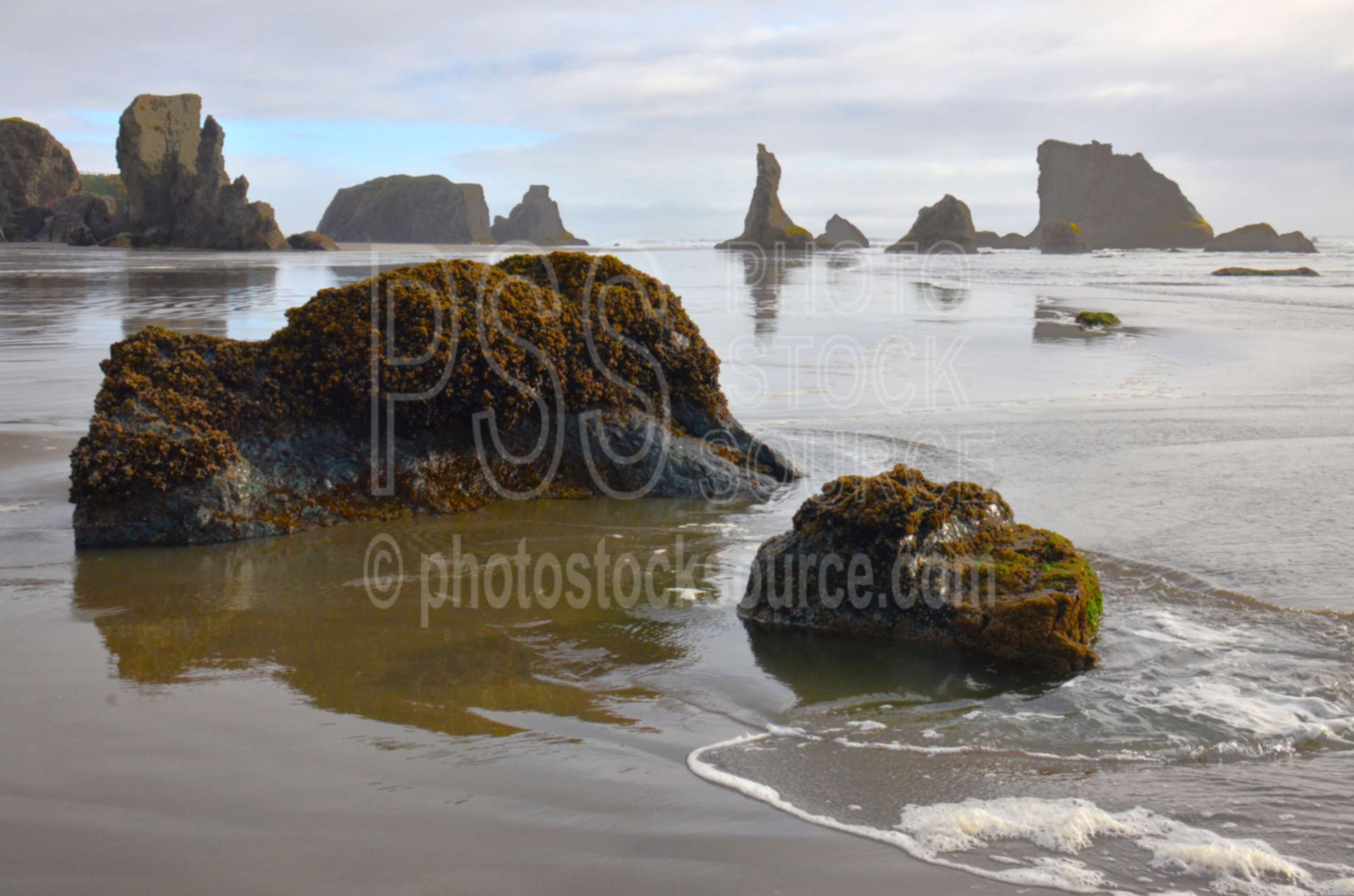 Sea Stacks and Rocks on Beach,rock,beach,sand,waves
