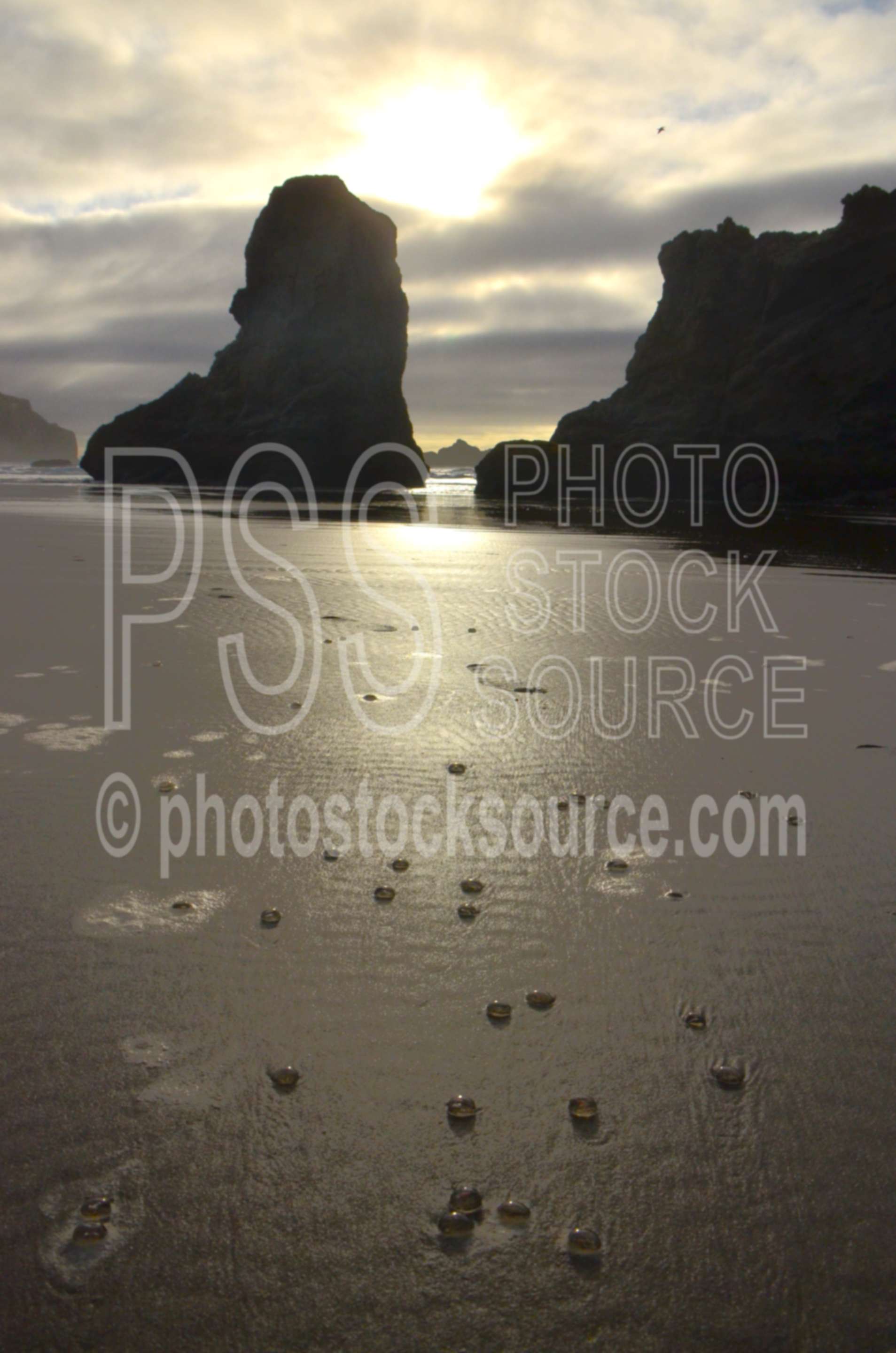 Sea Stacks and Jellyfish,rock,beach,sand,sea stacks,jellyfish,clouds,sunset