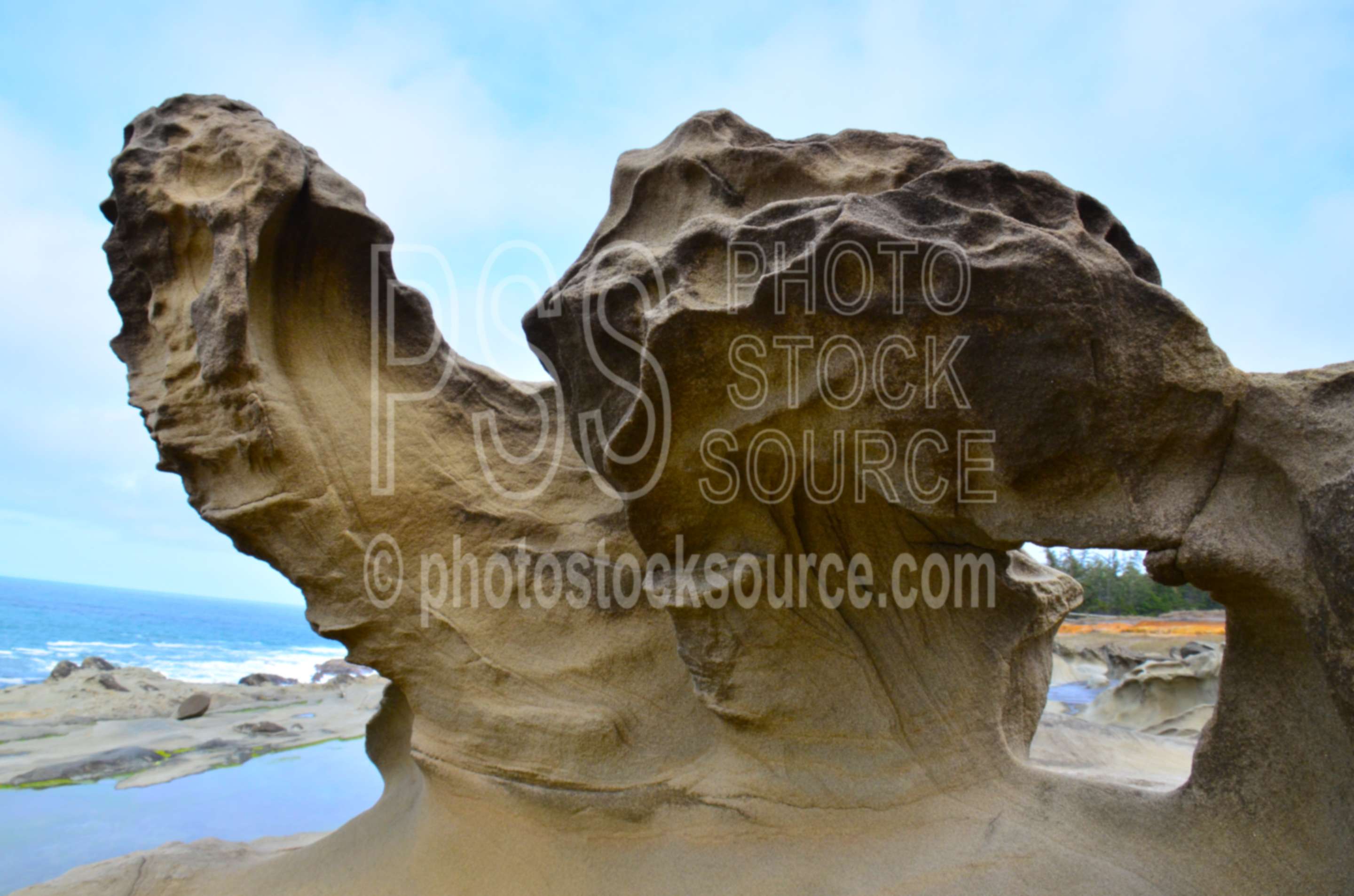 Shore Acres Rock Formations,ocean,rocks,shore arches,state park,salt weathering,hole