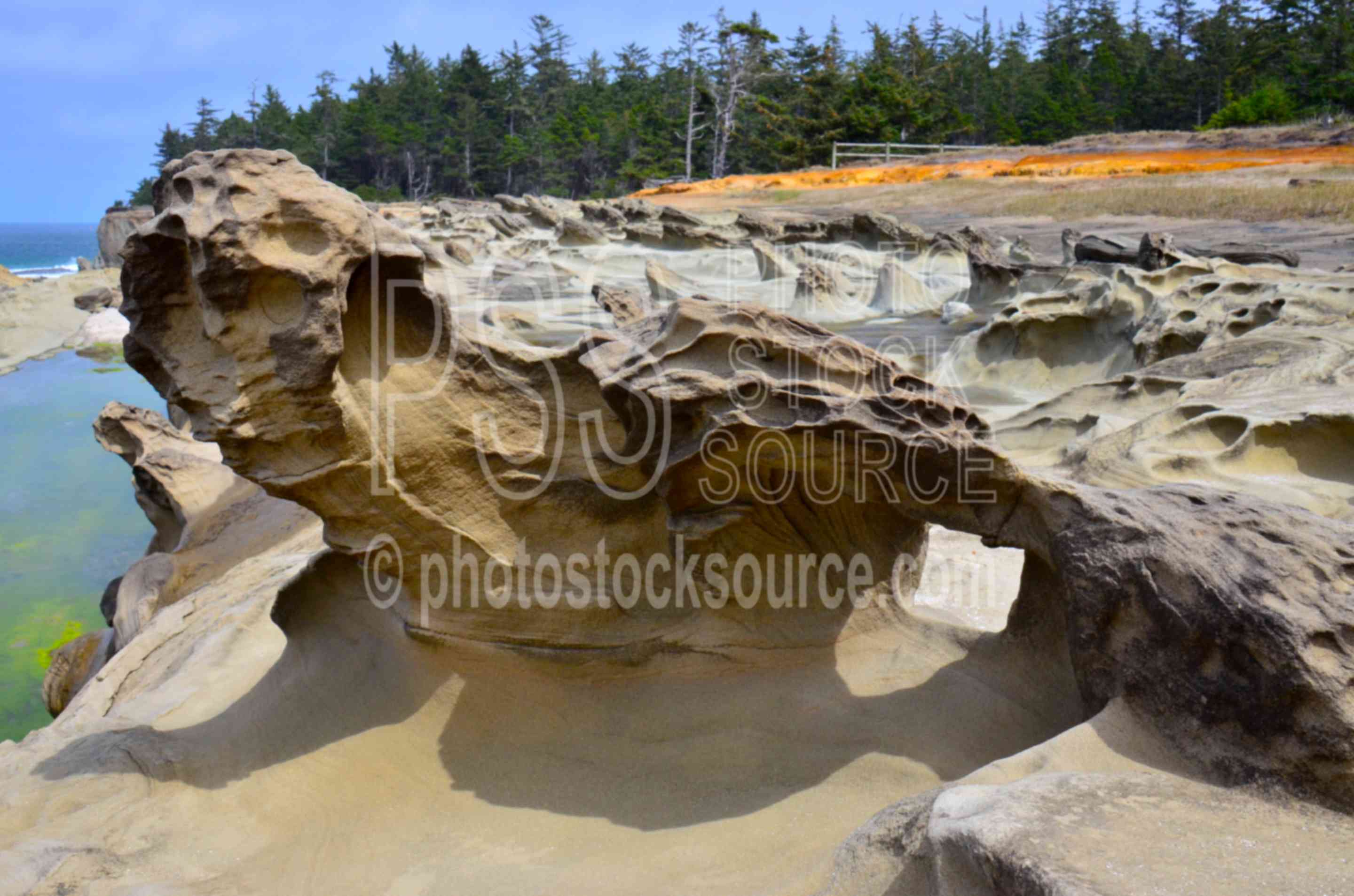 Shore Acres Rock Formations,ocean,rocks,shore arches,state park,salt weathering,hole