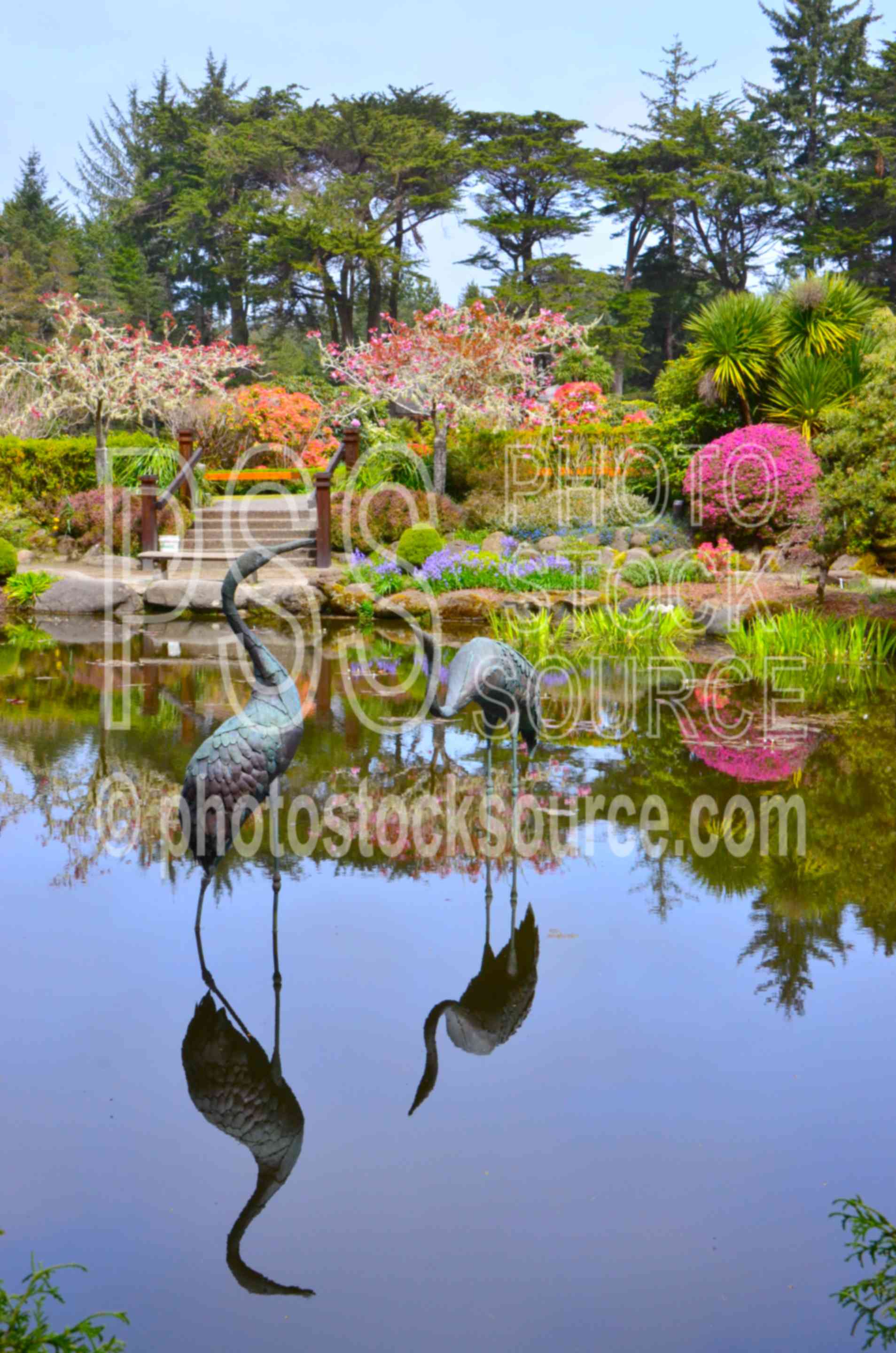 Shore Acres Garden Pond,shore arches,state park,garden,pond,sculpture,blue heron