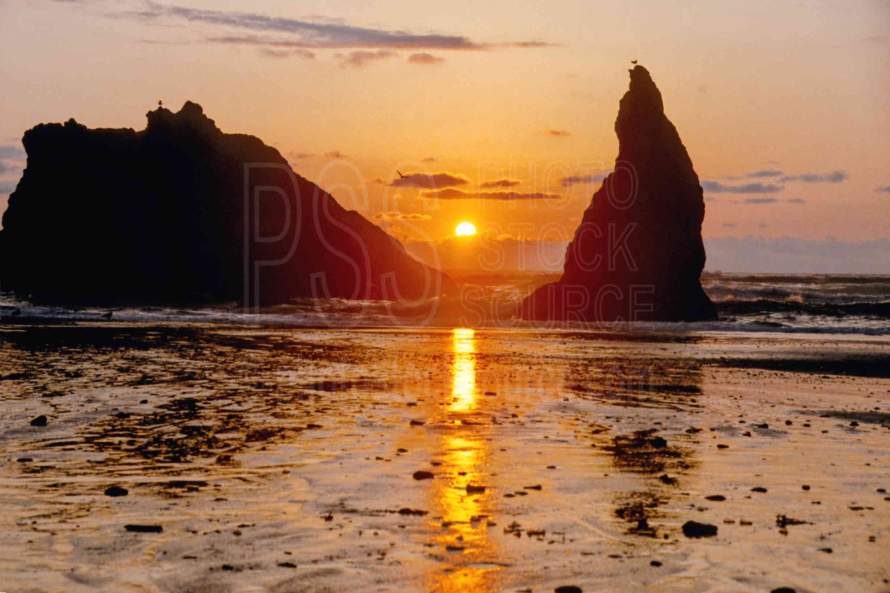 Sea Stack Sunset,beach,sea stack,sunset,usas,nature,seascapes,coast