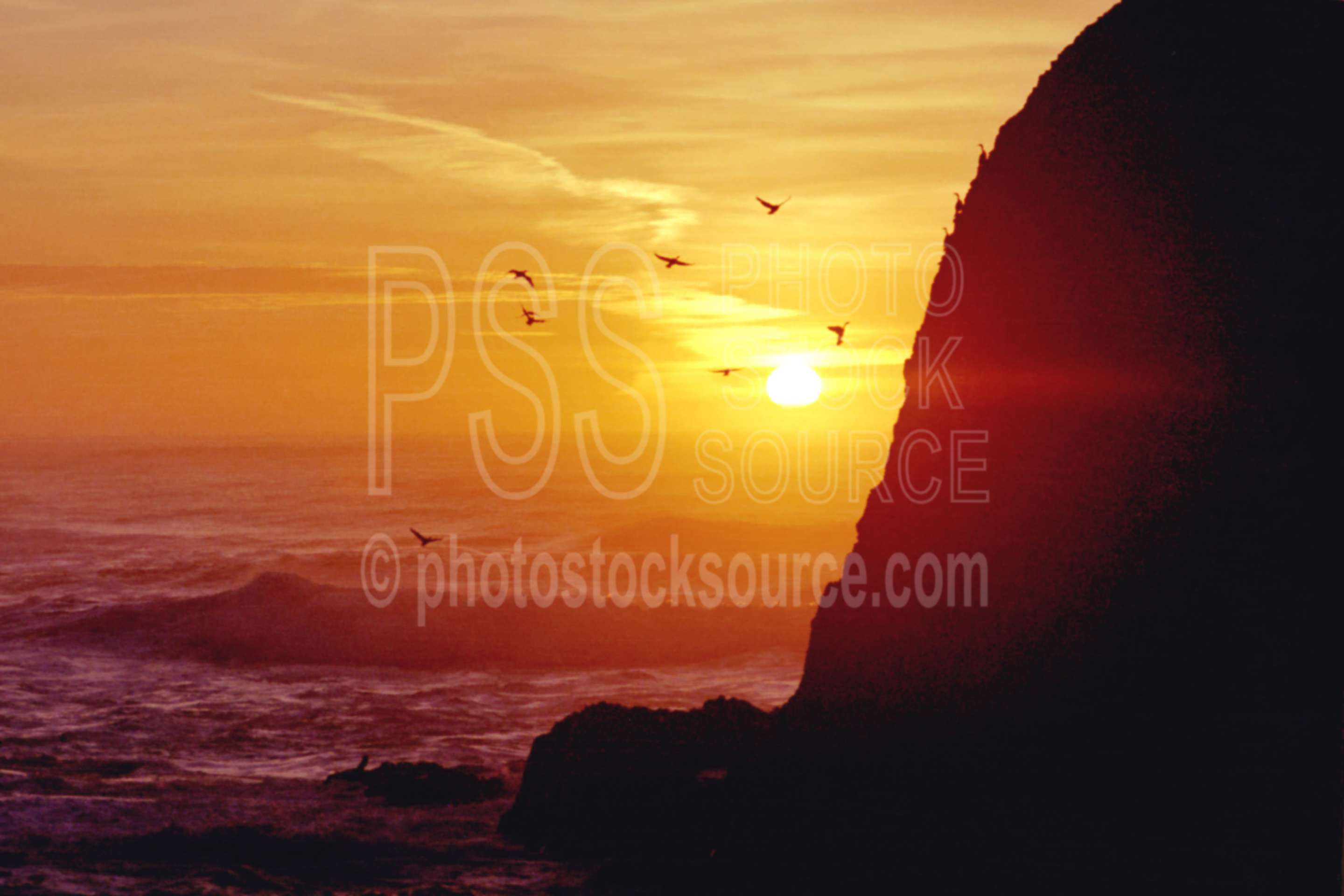 Cormorrants at Sunset,cormorrant,rock,sunset,usas,nature,seascapes,coast