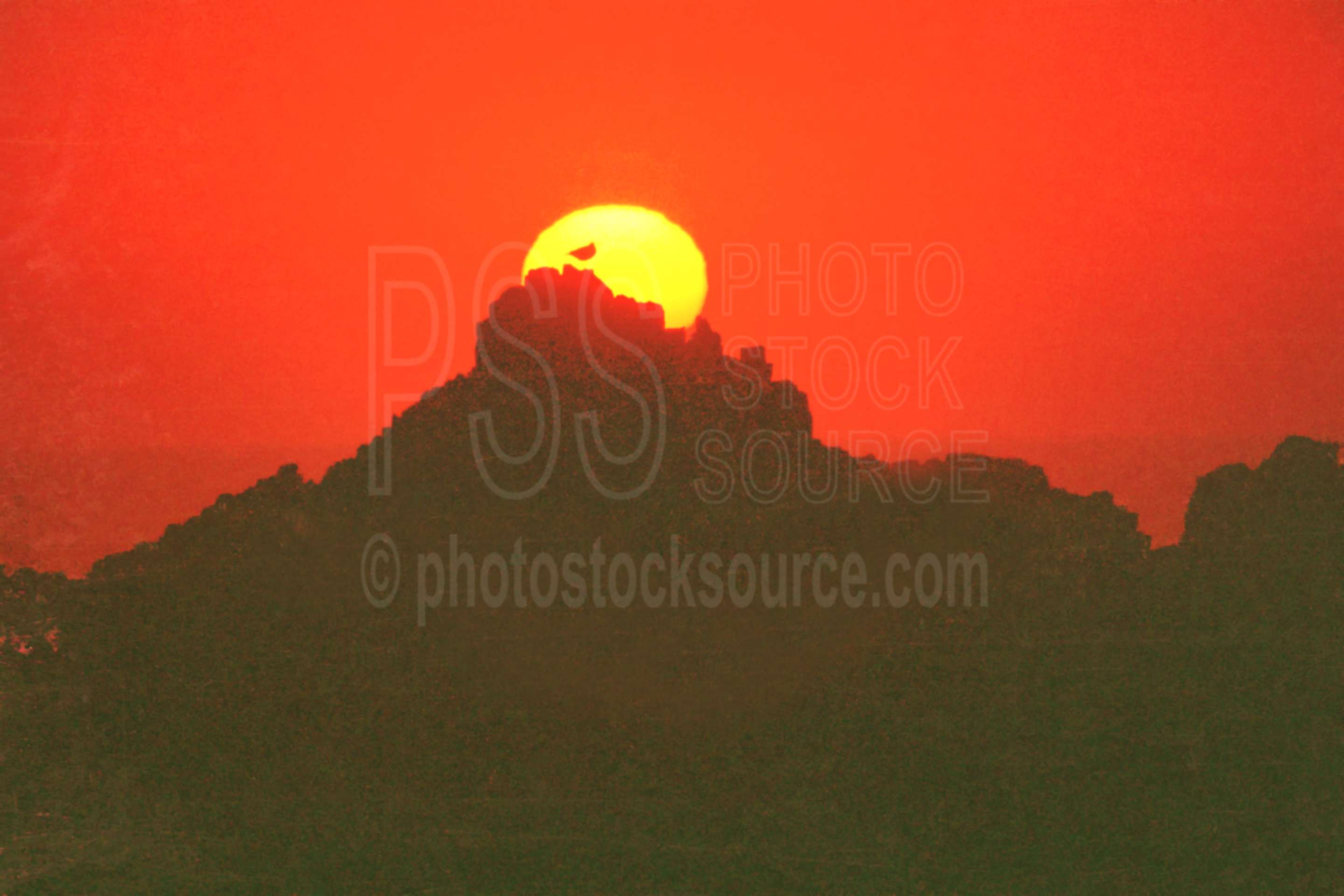 Seagull in Sunset,bird,gull,sea stack,seagull,sunset,usas,nature,seascapes,coast