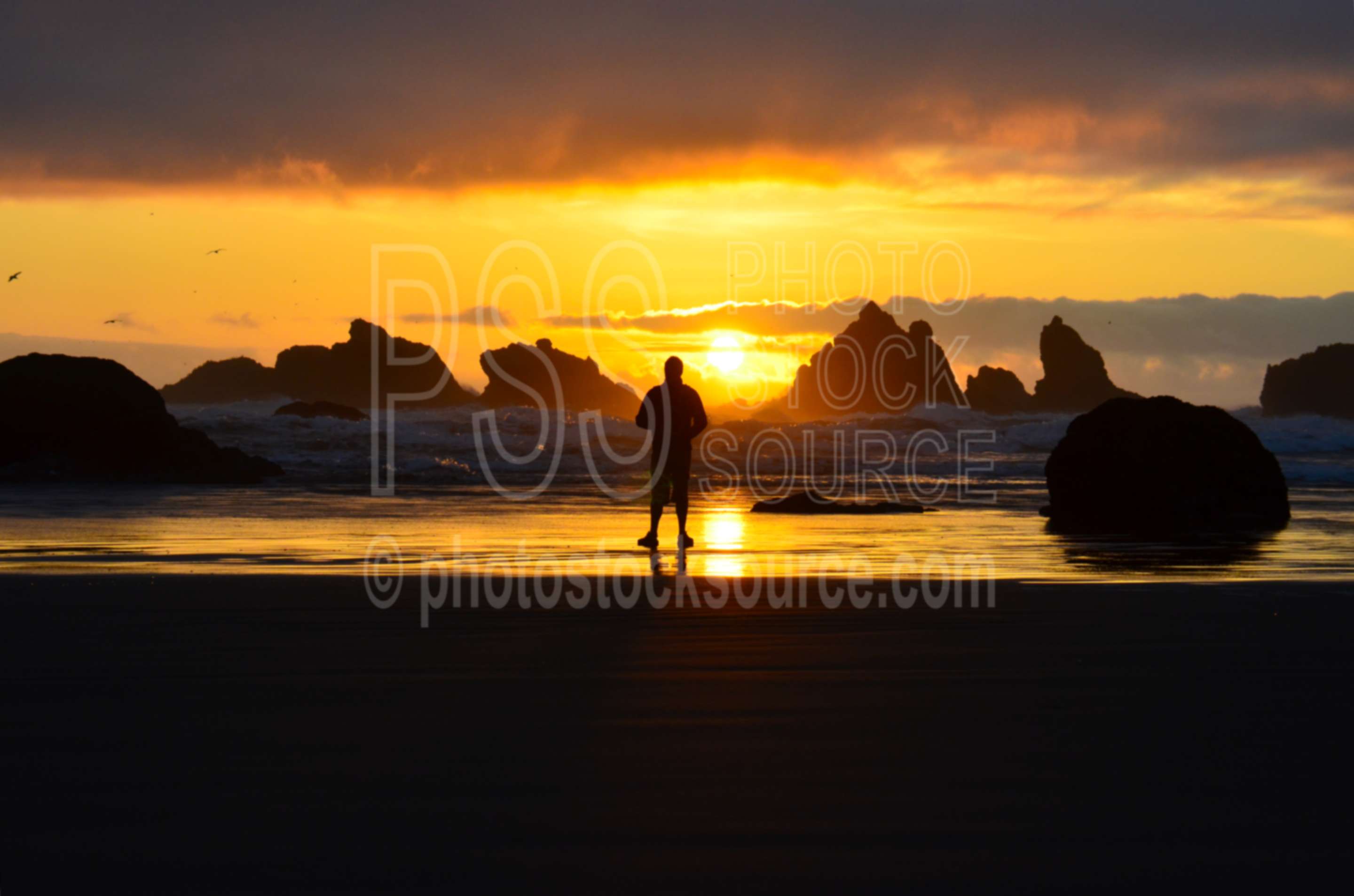 Man Watching Sunset,rock,beach,sand,sea stacks,clouds,sunset,man