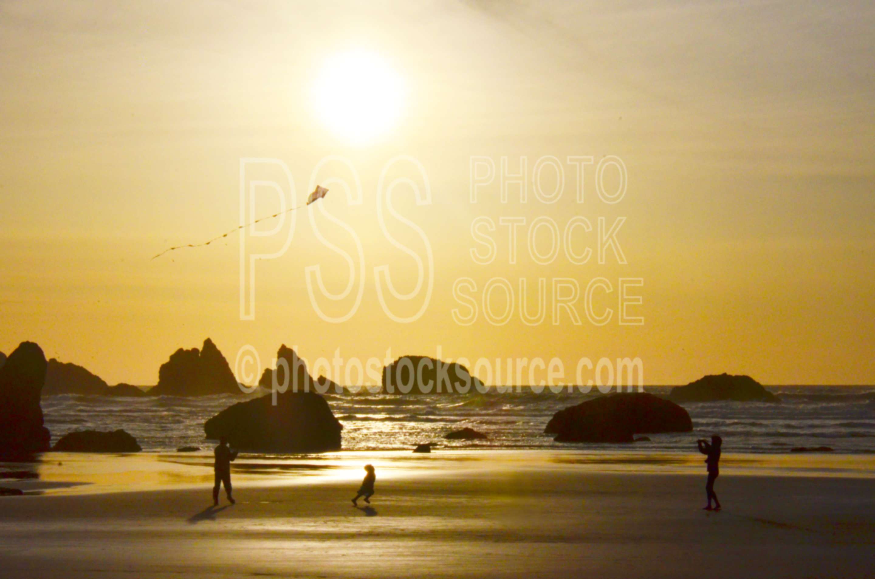 Family Flying Kite at Sunset,beach,kite,flying,family,people,playing,rocks,sunset